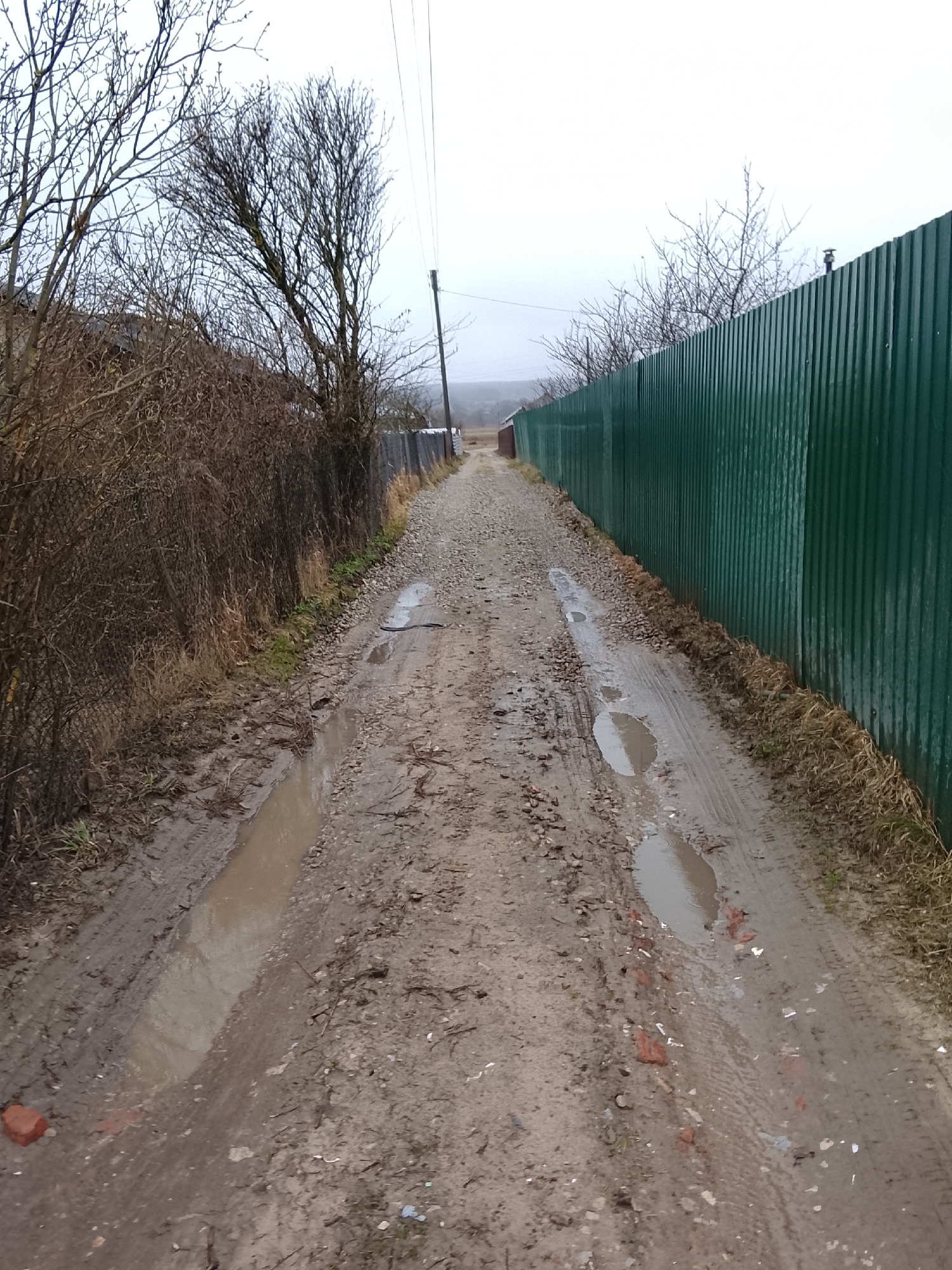 The image shows a muddy, gravel road leading through Высокиничи, Russia. The road is flanked on one side by dense, brown shrubs and bare trees, and on the other by a tall, green corrugated metal fence. Puddles of standing water dot the road surface. A utility pole and wires are visible in the distance. The sky is overcast.