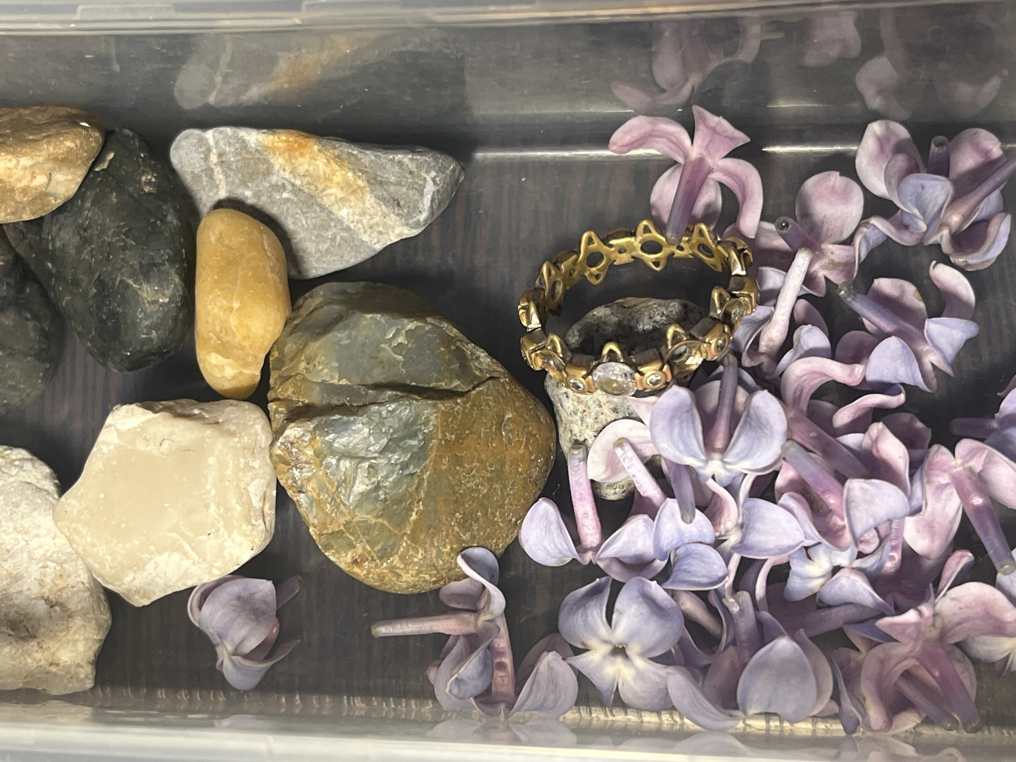 A top-down shot inside a plastic container reveals an arrangement of rocks, a gold ring, and lilac flowers. The rocks are varied in size, color, and texture, ranging from smooth, dark gray to rough, light brown. A gold ring with decorative openings and embedded stones rests on one of the larger rocks. Loose lilac flowers, showing shades of light purple, are scattered around the rocks and ring. The background is a dark gray surface. The origin of the image is impossible to identify.