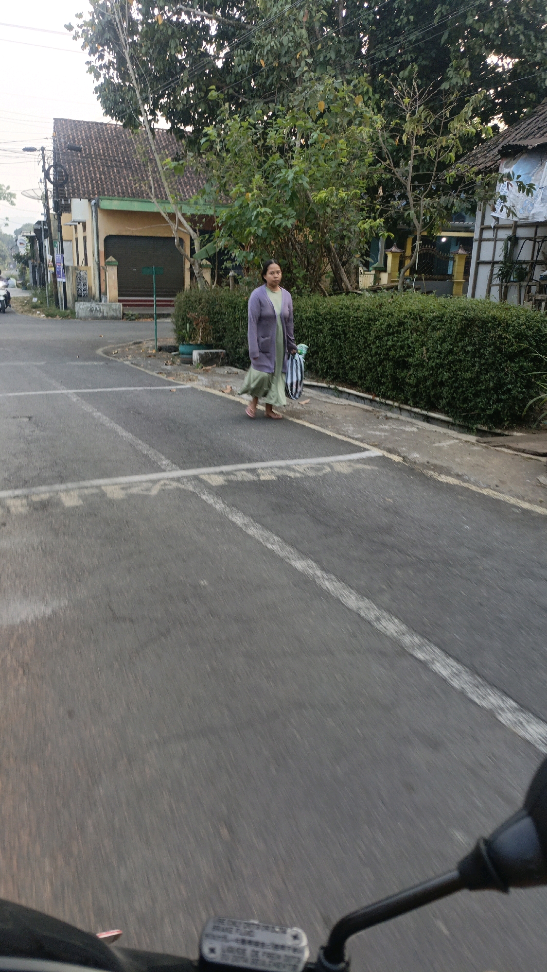 A medium shot captured from a moving vehicle on a paved road in Salatiga, Indonesia, shows a woman walking. The woman, who appears to be of Asian descent and is wearing a light purple cardigan over a green dress, is holding a striped bag. She is walking away from the camera, towards a well-maintained green hedge that lines the side of the road. Behind the hedge, a building with a brown tile roof and a light yellow facade is visible. Trees with dense green foliage are scattered throughout the scene, some reaching over the building. The road is marked with white lines, indicating lanes or parking spaces. The sky is overcast, suggesting it might be early morning or late afternoon. The foreground of the image is dominated by the blurred view from the vehicle, including a portion of the vehicle's handlebars and a warning label.