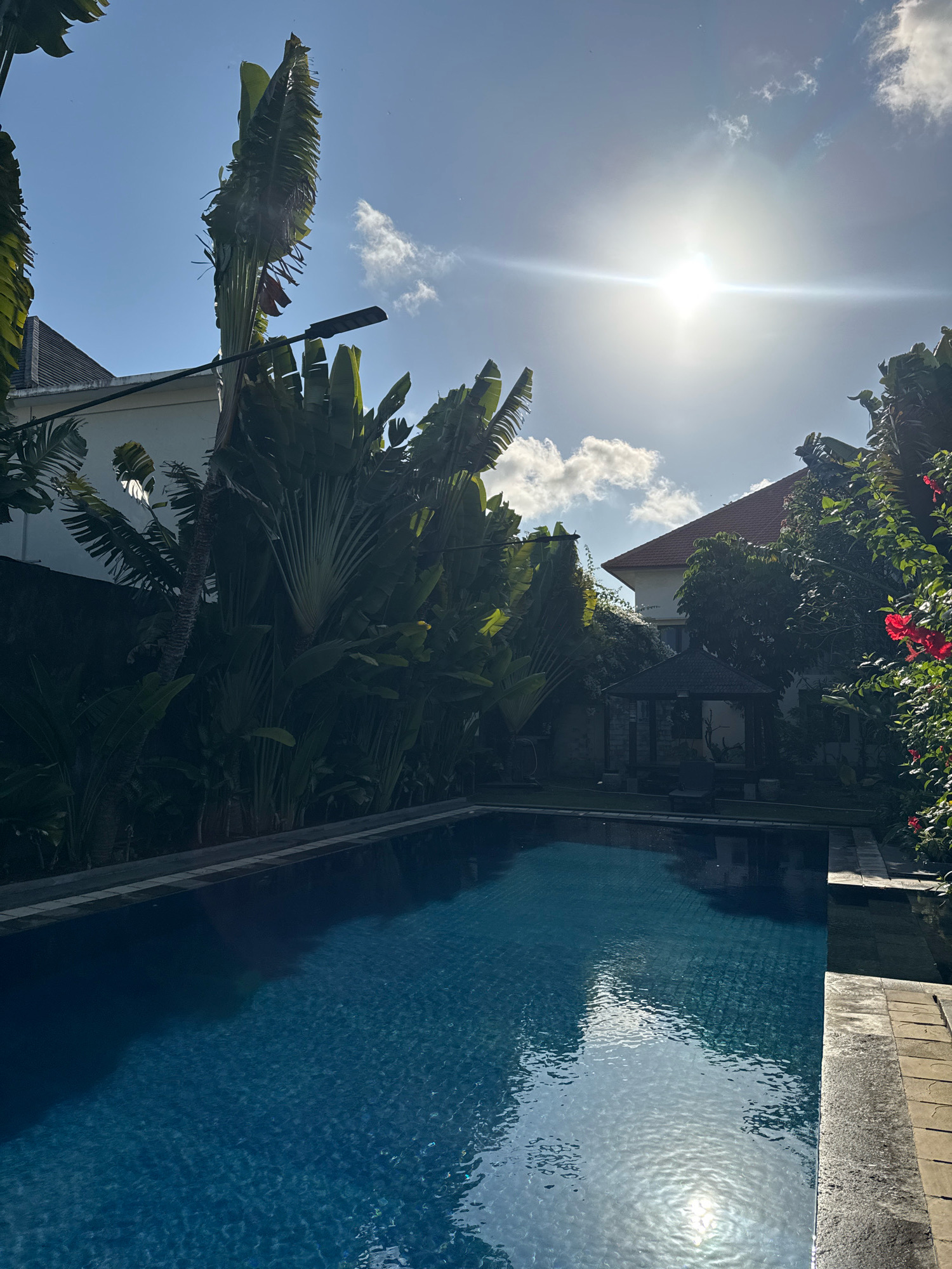 A bright, sun-drenched exterior scene shows a swimming pool in Denpasar, Indonesia. The rectangular pool, filled with clear blue water, occupies the foreground. Its surface reflects the sunlight, creating shimmering patterns. The pool is bordered by a stone deck. Lush tropical foliage, including large banana-like plants and flowering bushes with red blossoms, frames the pool and the background. Beyond the greenery, a white building with a red-tiled roof is visible, as well as a traditional gazebo. The sky is a clear blue with a few scattered clouds, and the sun is prominently visible, casting a bright lens flare. No people are present in the image.