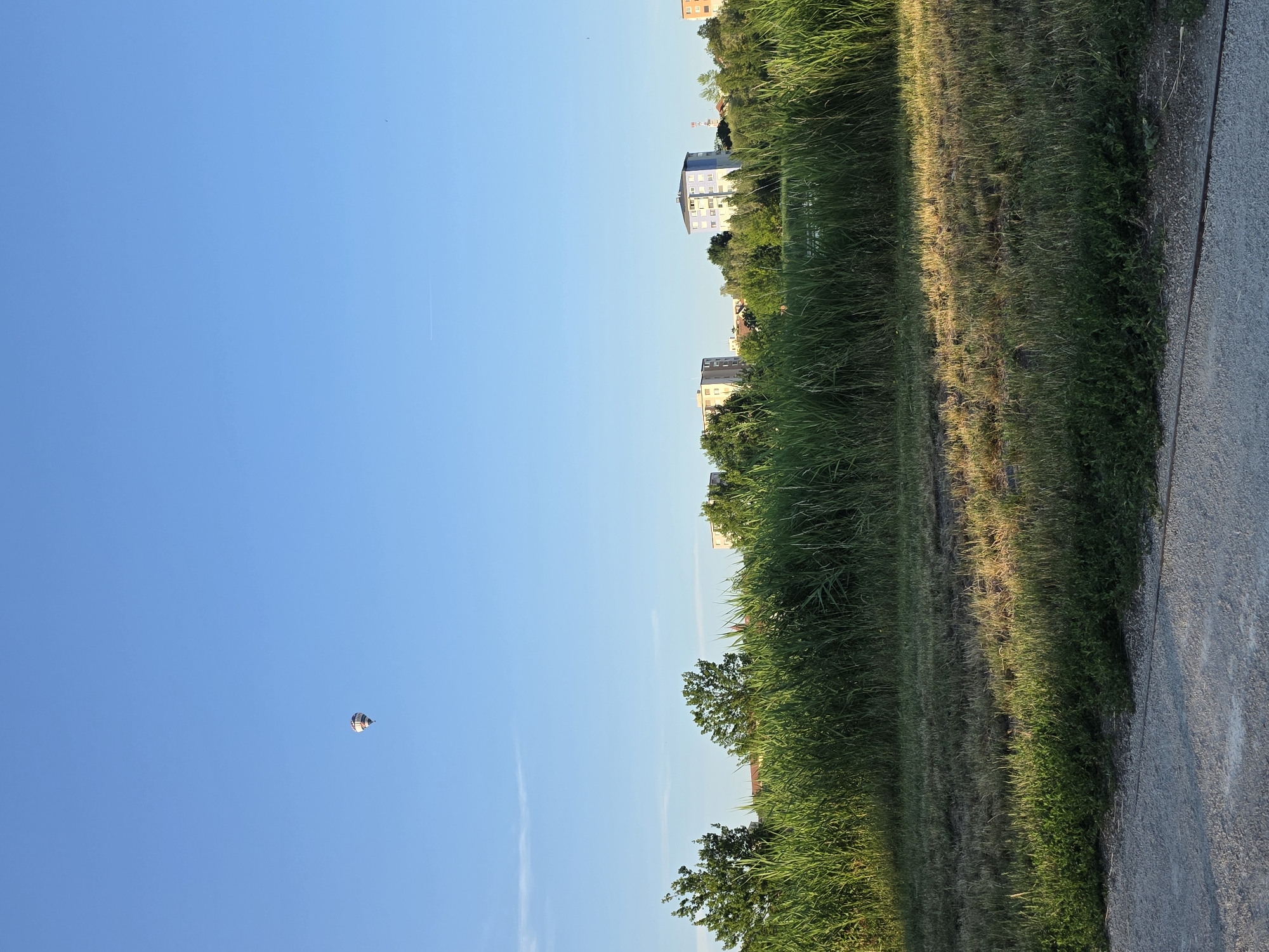 The image captures a clear blue sky above a field of tall green grass. In the distance, several buildings of varying heights and colors are visible, interspersed with trees. A hot air balloon is floating in the upper left quadrant of the sky. The foreground shows a patch of dry grass and a gravel path. The scene appears to be an outdoor environment in an urban or suburban setting, likely during daylight hours with warm sunlight casting shadows.