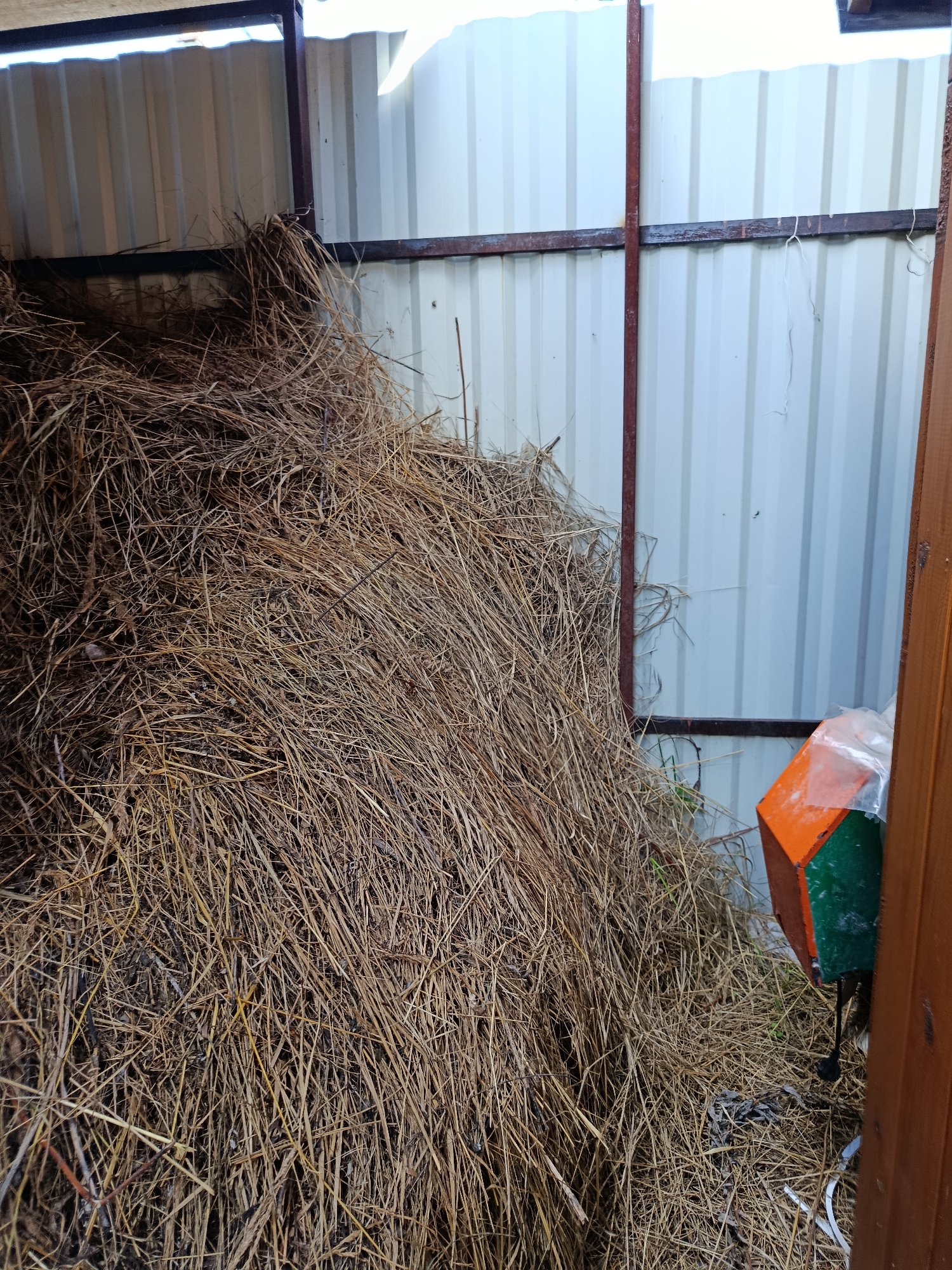 The image shows a large pile of dry hay or straw inside an open-sided shed or structure with a corrugated metal wall. A vertical rusty metal pole and a horizontal rusty metal beam are visible supporting the roof. To the right of the hay, there is a small, multi-colored object, possibly a traffic cone or a marker, with orange and green sections, partially covered in plastic. A wooden post is visible on the far right edge of the frame. The ground is covered in straw and debris. The overall impression is of an agricultural or storage area. The location is identified as Vareya, Russia. There are no people or animals visible in the image.
