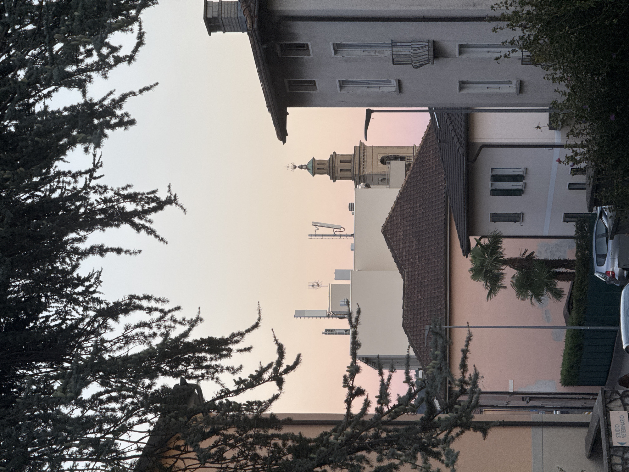 The image depicts a residential area in Balerna, Switzerland, during what appears to be twilight or dawn. The sky exhibits a gradient of pale pink and white. In the foreground, dark evergreen branches frame the scene from the top and left.
Several buildings are visible. On the far left is a portion of a building with an orange-toned facade. Adjacent to it is a building with a pink facade. This building has a dark-tiled roof and features a single palm tree in front of it, along with a dark green hedge.
In the center background, several modern buildings with flat roofs are topped with various telecommunication antennas. To the right of these, a traditional church bell tower with a green spire and cross stands out against the sky.
To the right of the bell tower is a multi-story residential building with a light gray facade. It has multiple windows, some with balconies featuring wrought-iron railings.
The lower part of the image shows a street level view with a silver car parked. A stone structure with the text "STUDIO VETERINARIO" is partially visible on the left. More dark green foliage is present in the lower right corner. The overall impression is one of a quiet, urban setting at dusk or dawn.