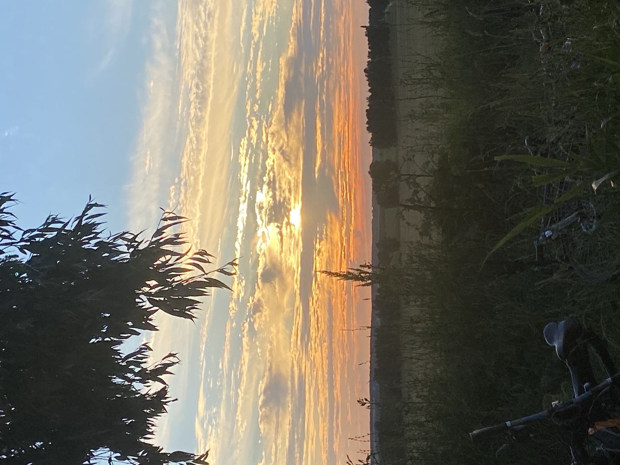 A serene sunset is captured in this outdoor scene. The sky is a gradient of blue, orange, and yellow, with streaks of white clouds creating a dramatic effect. The sun, partially obscured by clouds, casts a warm glow over the landscape. In the foreground, dark green foliage partially obscures the view, with branches of a tree hanging from the top left corner. Below the sky, a silhouetted line of trees forms the horizon. In the bottom foreground, the dark shapes of two bicycles are visible, parked in tall grass. The overall atmosphere is peaceful and tranquil, suggesting a quiet evening in a natural setting.