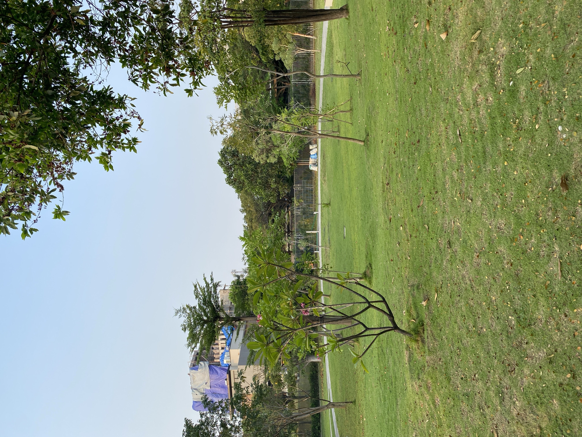 An outdoor park scene with lush green grass and various trees. In the background, a building under construction is visible, covered in blue and white tarps, with scaffolding. A light-colored pathway winds through the park. The sky is clear and pale blue.