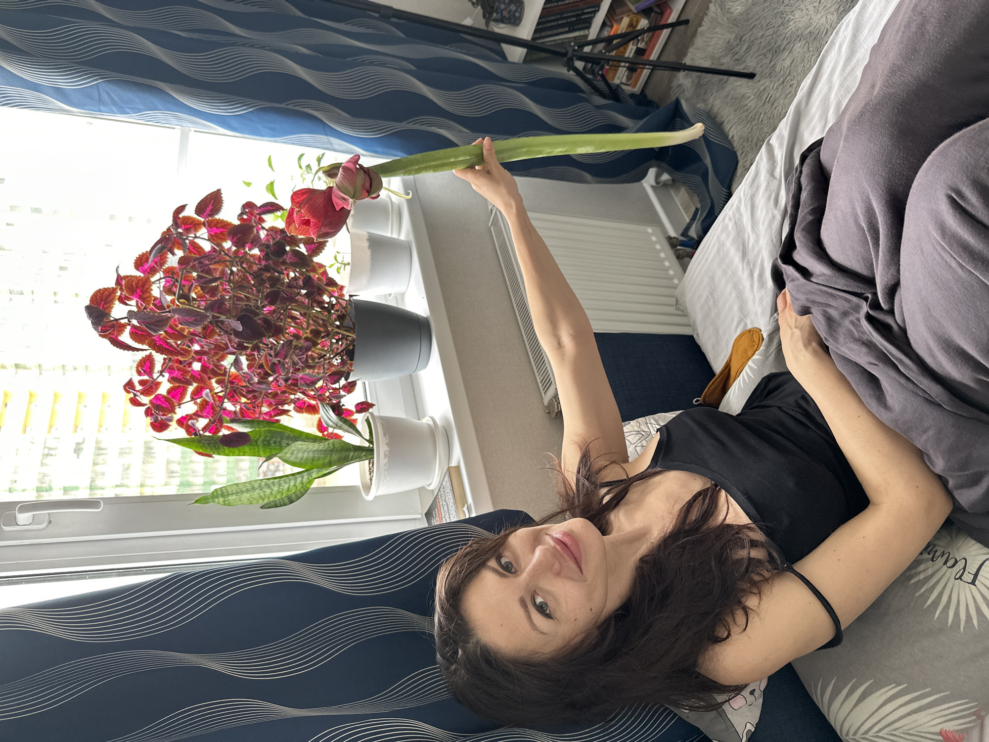 An image captures a woman lying on her side on a bed, looking directly at the camera with a relaxed expression and a subtle smile. She has long, dark, wavy hair and is wearing a black tank top. Her left arm is raised, holding a long, green stem that culminates in a large red flower bud.
The woman is positioned on a bed covered with grey bedding, including a pillow with faint text that appears to be "Flamingo" or "Flame". Next to the bed, a window allows bright natural light into the room. Dark blue curtains with a distinctive white wavy pattern frame the window. On the white windowsill, two potted plants are visible: one with vibrant red and purple variegated leaves, and another with green, snake-plant-like foliage. A white radiator is situated below the windowsill.
In the background, beyond the curtains, bookshelves filled with books and a black tripod stand can be partially seen. A light grey, fluffy rug is visible on the floor, and a brown slipper rests near the woman's feet. The scene suggests a casual, peaceful moment indoors during the daytime. The location context for this image is Murino, Russia.