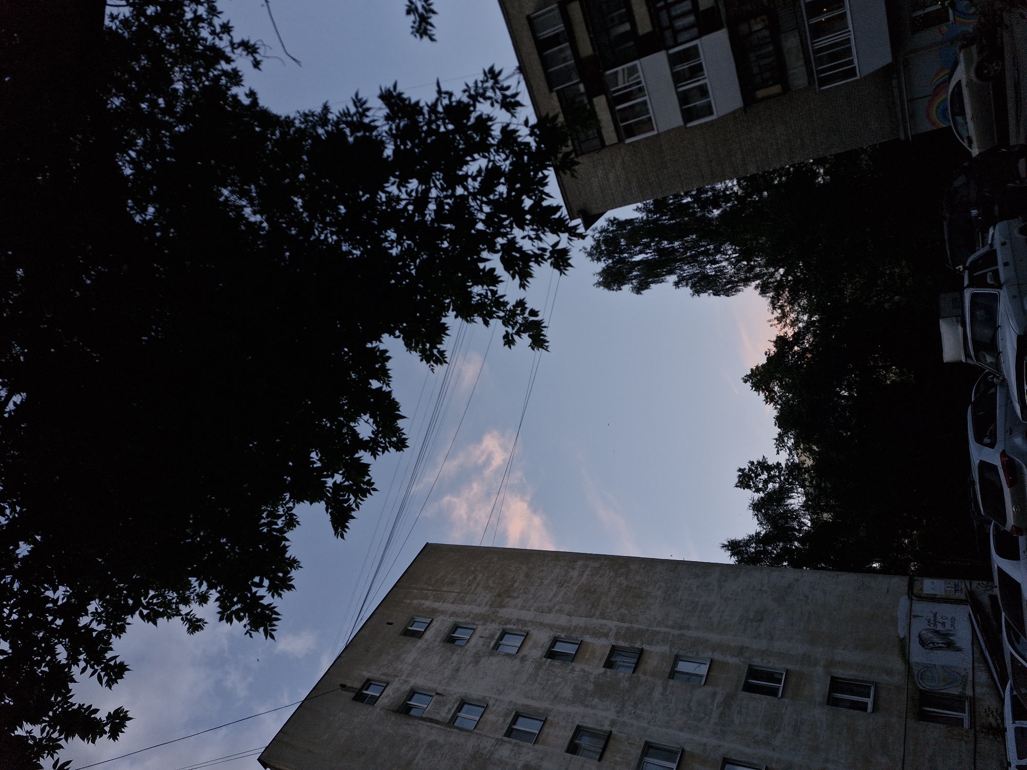 The image captures an upward-looking perspective of an urban scene at dusk, with buildings and silhouetted trees against a pale blue sky. The sky shows faint hints of pink and orange, suggesting the sun has recently set. Power lines crisscross the frame, adding to the urban feel.
In the foreground, the textured, grey facade of a multi-story building is visible, with rows of dark, rectangular windows. Some windows appear open, while others are closed. Towards the right side of this building, graffiti art is visible on the wall, featuring abstract shapes and what appears to be a stylized portrait.
Further back and higher up, another building with a brick and concrete facade is visible, also featuring numerous windows. Silhouetted against the sky are the branches and leaves of mature trees, obscuring parts of the buildings and the sky. On the far right, several vehicles are parked, their shapes also partially obscured by darkness and the angle of the shot.
The scene depicts a typical urban environment, likely a residential area, during twilight. The mood is subdued, typical of the transition from day to night. There is no discernible activity taking place, and the focus is on the architectural and natural elements against the evening sky. The location context of Yekaterinburg, Russia, aligns with the architectural style of the buildings.