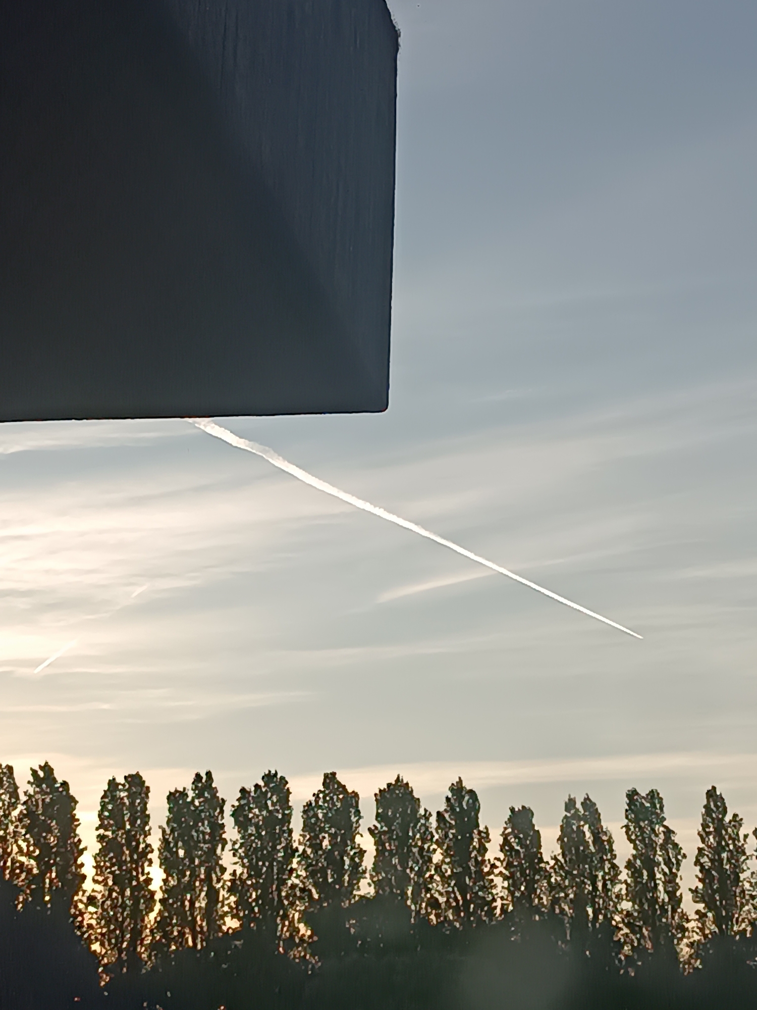 The image, captured on a clear day in Casalmaggiore, Italy, features a dark, rectangular object jutting into the frame from the upper left corner, casting a shadow. A prominent white contrail, likely from an airplane, bisects the sky diagonally from left to right, appearing as a sharp line against the pale blue sky. Below the sky, a dense row of trees forms a dark silhouette against the soft, diffused light of the setting sun. The trees are tall and slender, with visible foliage, and their tops are illuminated by the warm backlight. The overall impression is one of a tranquil outdoor scene, with the contrail adding a dynamic element to the sky.