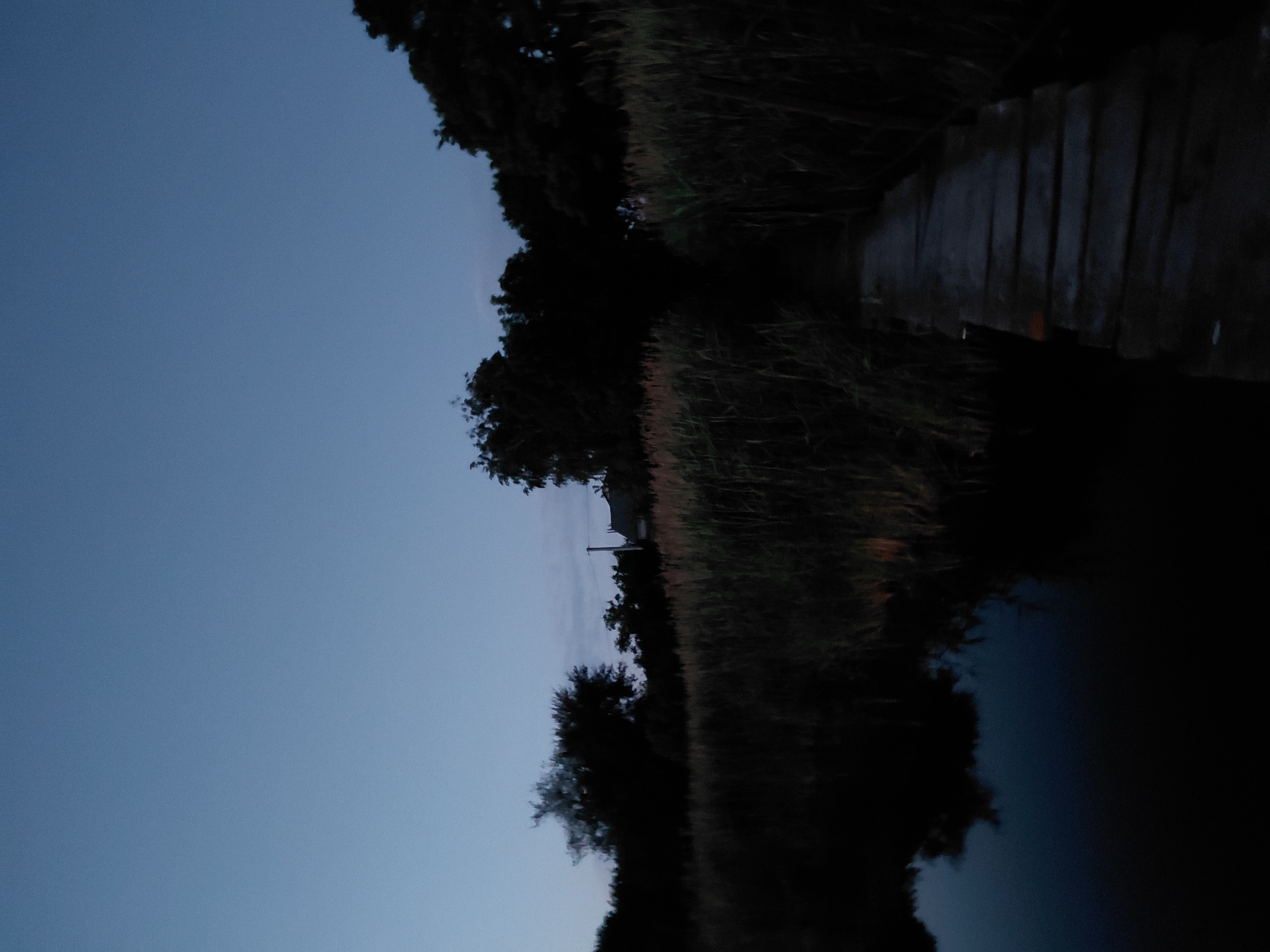 A wooden boardwalk extends from the lower right corner of the image into a densely vegetated area of reeds and trees under a twilight sky. The water on the left reflects the dark reeds and trees. A house with a visible roofline is partially obscured by the trees in the background. The scene is dark and muted, typical of dusk or early dawn. The location is identified as Ustyvytsia, Ukraine.