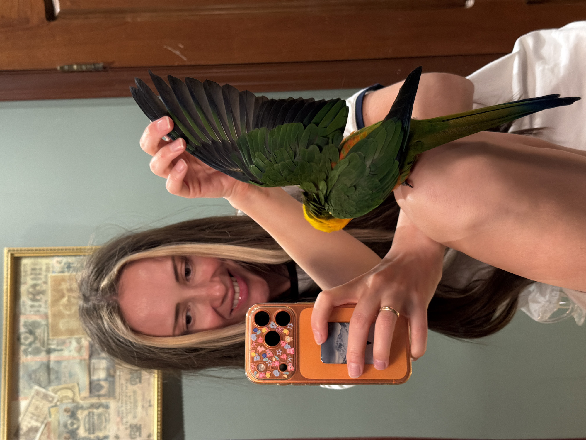 A young woman is taking a mirror selfie while interacting with a parrot. The image is oriented vertically, showing the woman's smiling face reflected in the mirror on the left side, with her body extending to the right. She has long dark hair with distinctive blonde highlights framing her face. She wears a ring on her left ring finger.
A green parrot is perched on her right arm, with its left wing fully extended, revealing dark, almost black, flight feathers contrasting with its vibrant green body and some yellow-orange plumage around its neck and chest. The bird's long tail feathers are also visible, transitioning from green to a darker hue at the tips. The woman's left hand holds an orange smartphone, which has a decorative case around the camera lenses featuring small, colorful, cartoon-like elements. A small picture, possibly a landscape, is visible in another section of the phone case.
In the background, a light blue-green wall is visible, with a piece of dark brown wooden furniture or trim at the top. To the left of the woman's head, a gold-framed picture hangs on the wall, displaying what appears to be an arrangement of old documents or stamps. The overall mood conveyed by the woman's smile suggests a happy and playful moment. No discernible text is visible on any objects.