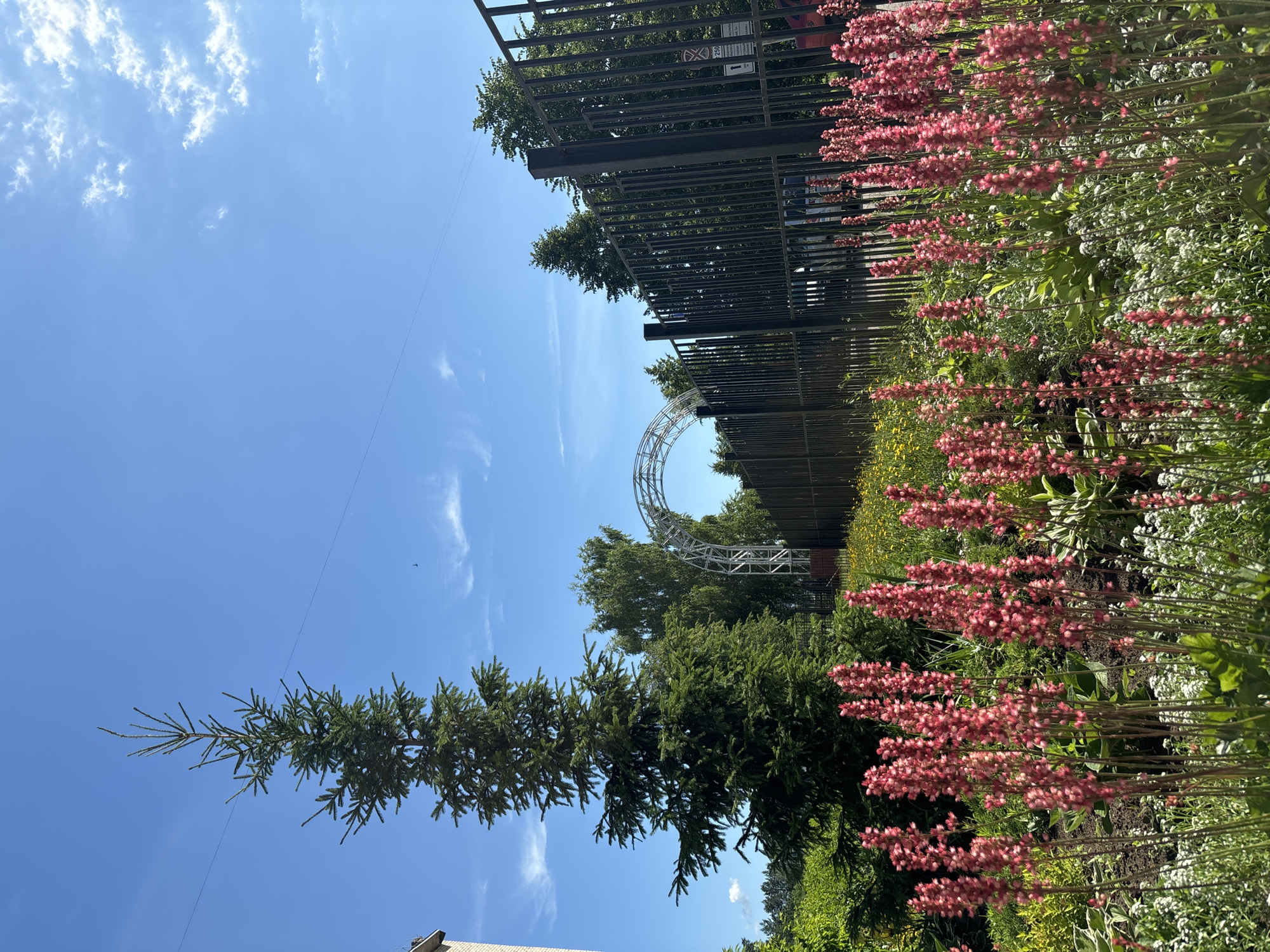 An outdoor scene features a black metal fence with vertical bars, a tall evergreen tree, and a garden of pink flowers in the foreground. Behind the fence, a large, white arched structure is visible, along with trees and a building. The sky is blue with a few wispy clouds, and a power line stretches across the frame. A street sign with Russian text is attached to the fence. The location is identified as Chaikovsky, Russia.