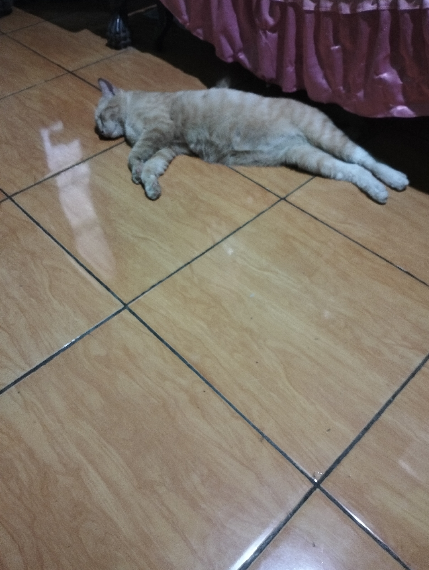 An adult light orange tabby cat is lying on its side, asleep on a tiled floor. The cat is positioned horizontally in the frame, with its head to the left and its body extending to the right. Its eyes are closed, and its paws are tucked in. The floor is made of square, light brown tiles with dark grout lines. In the background, a pink ruffled valance hangs from what appears to be furniture or a bed. The scene is indoors, with some darkness in the upper left corner suggesting it is not well-lit. There is a subtle reflection on the tiled floor. The location in Jetis, Indonesia, is inferred from the prompt but not visually evident in the image itself.