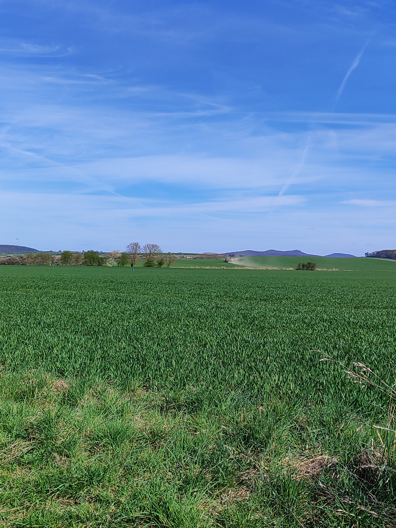 A wide-angle shot depicts a verdant field under a bright blue sky with wispy clouds. The field is predominantly green, transitioning from a lighter shade in the foreground to a denser, darker hue as it recedes into the distance. Patches of brownish soil are visible in the foreground amongst the greenery. A line of trees and hills mark the horizon, with a darker mountainous area visible further back. Dust or spray suggests agricultural activity occurring in the middle distance of the field, potentially involving a vehicle or machinery. The location is likely rural and agricultural.