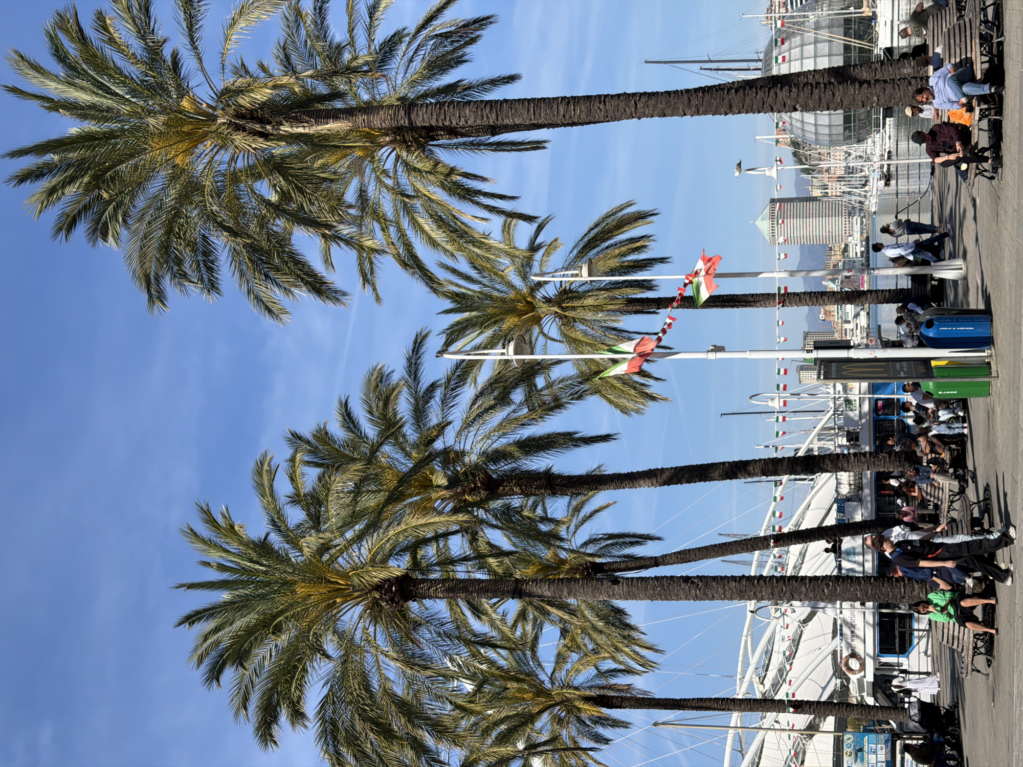 The image shows a bright, sunny day in Genoa, Italy. Several palm trees frame the view towards the harbor. The scene includes a waterfront promenade with people seated on benches, some of whom are looking out at the water. Several boats and a modern glass and metal structure can be seen in the harbor area. Flags are flying from light poles near the promenade. In the background, the buildings of Genoa rise toward the hills.