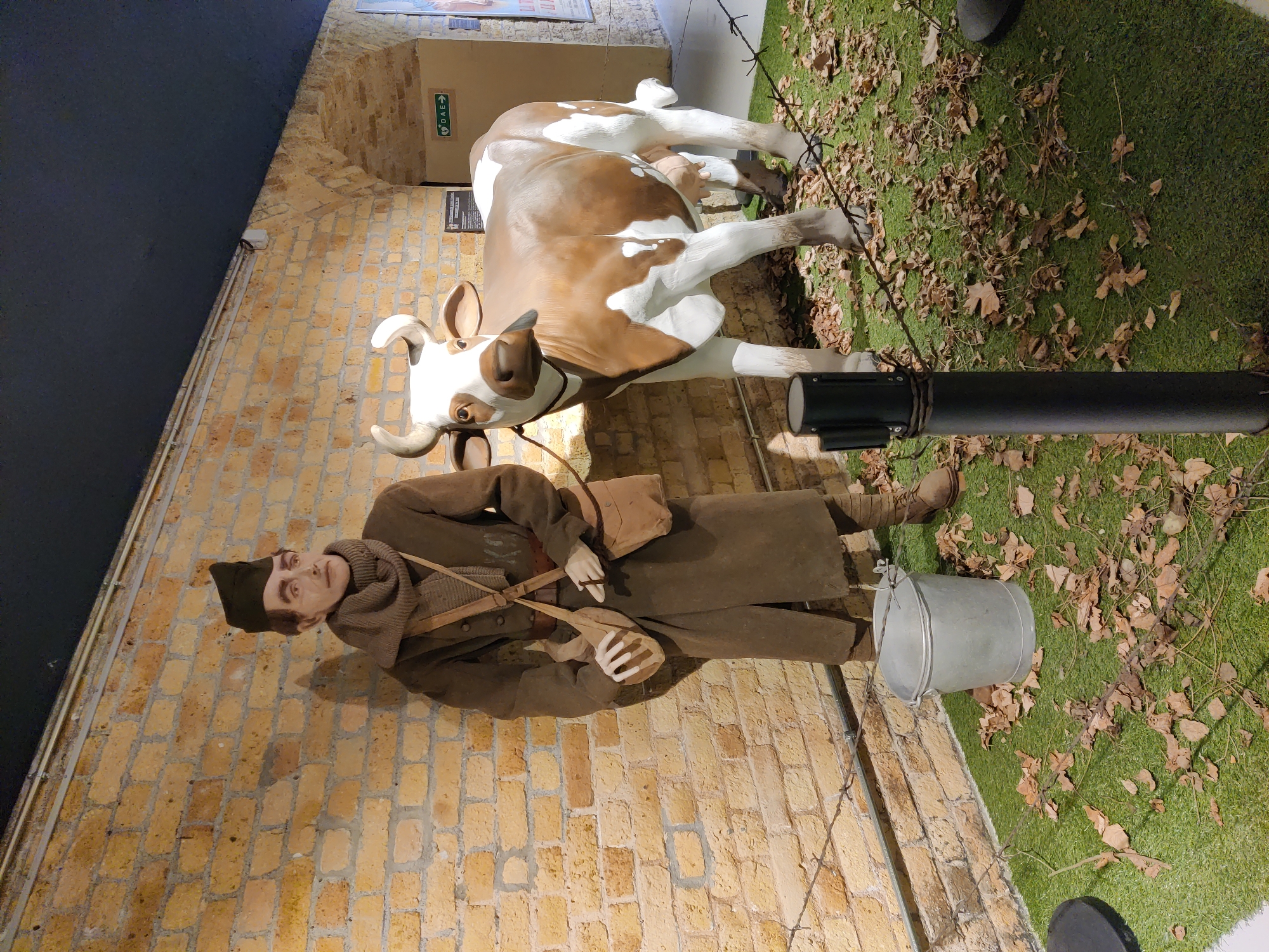 The image depicts a museum exhibit in Dunkirk, France. In the foreground, a life-sized mannequin of a soldier stands to the left, dressed in a period military uniform with a long coat, scarf, and cap, and carrying a shoulder bag. Next to the soldier, to the right, is a realistic model of a brown and white cow. Both figures are standing on a green artificial grass surface scattered with fallen leaves. A metal bucket is placed on the ground in front of the soldier, and a wire fence with barbed wire runs along the ground between the soldier and the cow. Behind the figures, a textured brick wall forms the backdrop. Further into the background, an arched doorway leads to a dimly lit area, with a sign displaying "DAE→" visible on the right. The overall scene is a staged diorama, likely representing a historical moment or aspect of life in Dunkirk.