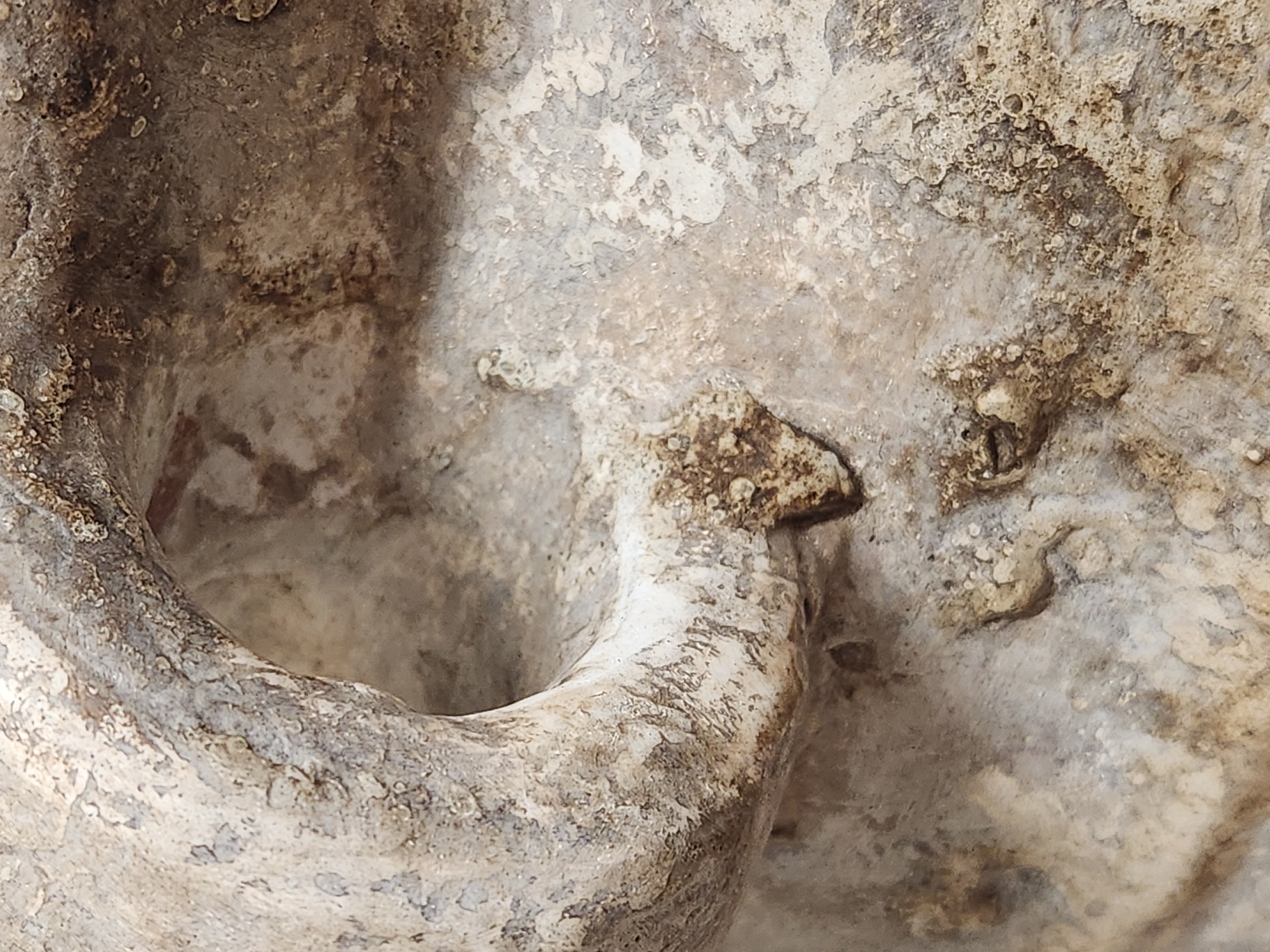 The image is a close-up, macro photograph of the texture and surface of a weathered, possibly stone or ceramic, object. It shows a curved, tubular opening with rough, uneven edges. The surface is a mottled mix of pale grays, whites, and earthy browns, with areas of peeling or flaking material and small, granular deposits. There are some darker, almost reddish-brown stains or pigments visible in shadowed areas and on the surface. The texture is highly detailed, revealing pits, ridges, and a granular, almost porous quality.
The image does not contain any information that would allow for the determination of a specific location in Maitland, United States of America, or any details about people, actions, or interactions. It is solely a detailed examination of the material's surface.
