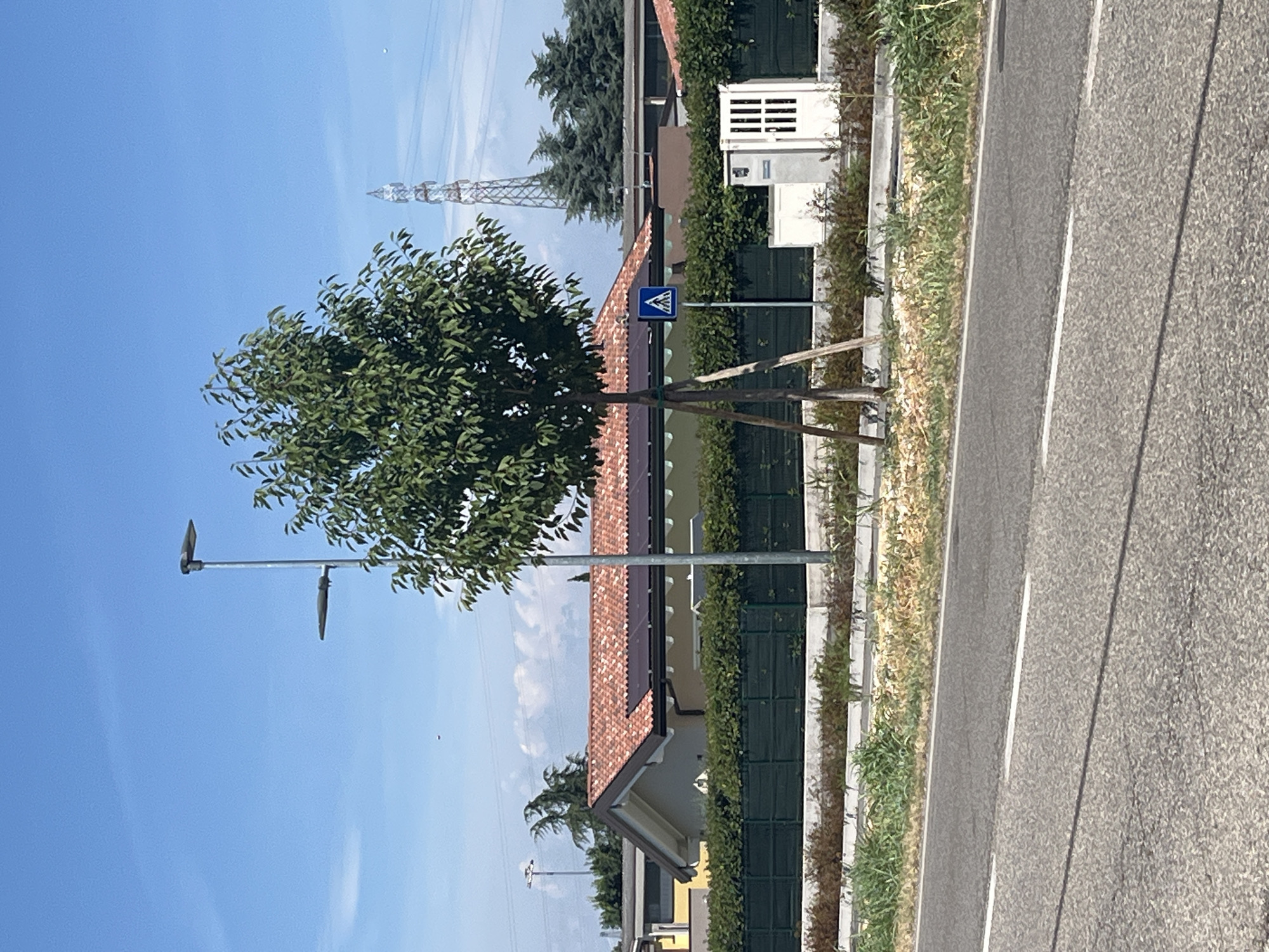 The image shows a street scene in Castiglione delle Stiviere, Italy, on a clear, sunny day. The perspective is from a roadside, looking slightly upwards towards a residential area and a clear blue sky.
In the foreground, a paved road with a white line marking runs diagonally through the frame. To the left of the road is a strip of dry grass and some vegetation, bordered by a low concrete barrier. Further left, a young tree with green leaves is planted, supported by wooden stakes. A street lamp is visible behind the tree.
Beyond the roadside, a house with a reddish-brown tiled roof is partially visible. The house is surrounded by a green hedge. A blue pedestrian crossing sign is mounted on a pole in front of the house. In the background, a tall metal pylon is prominent against the sky, suggesting the presence of a power line or telecommunications infrastructure. There are also some evergreen trees and a white structure that appears to be an electrical enclosure.
No people are visible in the image, and the scene appears quiet and serene, bathed in the bright sunlight of midday. The overall impression is one of a typical suburban or semi-rural environment in Italy. There is no visible text in the image.