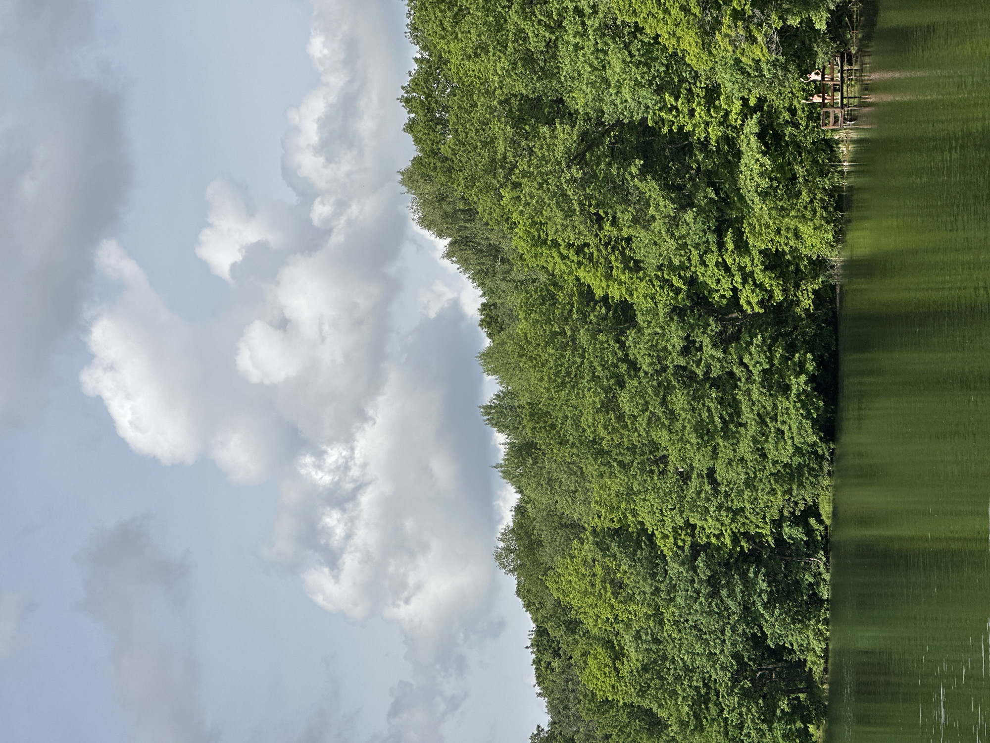 The image shows a landscape with a body of water (possibly a lake or river) on the right, bordered by a lush green forest. The sky on the left is filled with grey and white clouds, indicating overcast conditions. On a small wooden platform extending into the water there are two people lying down. The image might be from Nizhny Novgorod, Russia, but there is nothing explicitly confirming this.