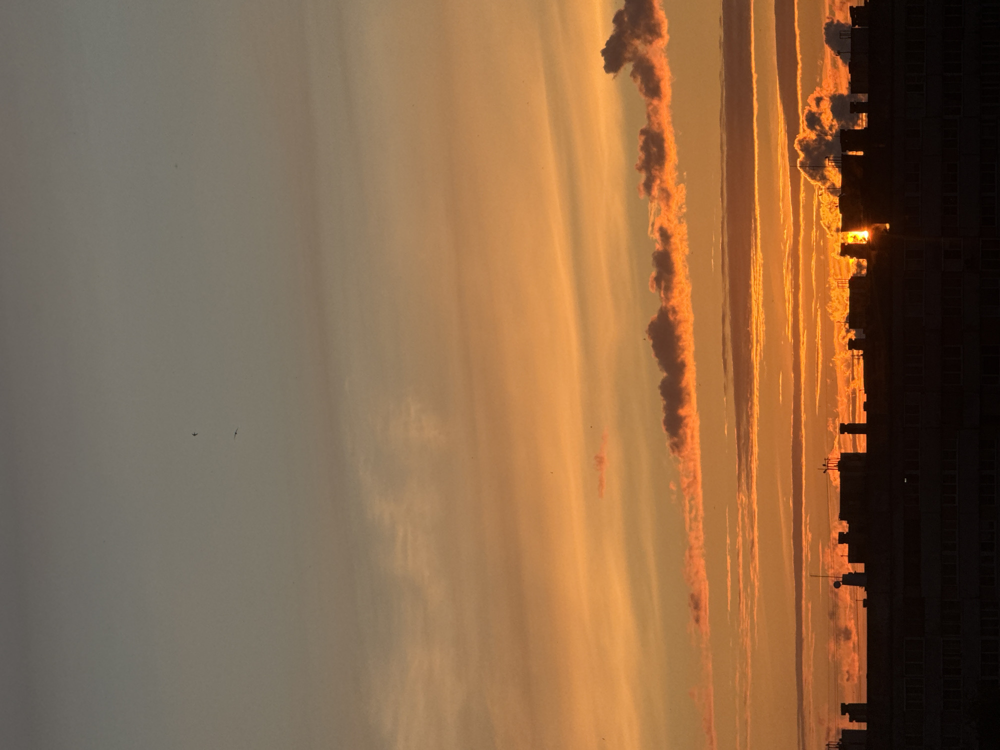 This is a telephoto shot of a sunset over the city of Sosnoviy Bor, Russia. The sky is filled with vibrant shades of orange and yellow, with streaks of lighter clouds running horizontally across the frame. A few darker clouds are also visible, edged with fiery orange. The lower portion of the image is dominated by the silhouette of buildings and rooftops. The buildings appear to be apartment blocks or industrial structures, with visible chimney-like protrusions and antennas on top. The sun itself is partially obscured by the rooftops and clouds, casting a bright glow. Two birds are visible in the upper portion of the sky. The overall impression is of a city bathed in the warm, dramatic light of dusk.