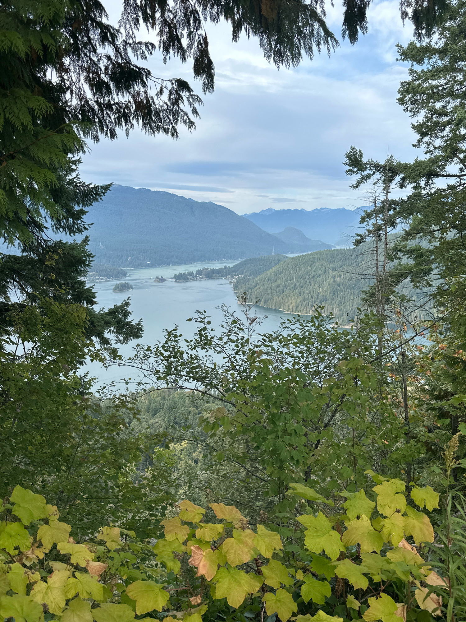 A scenic view of Indian Arm fjord is framed by evergreen trees in the foreground. The fjord is dotted with small islands and bordered by densely forested mountains. In the distance, the hazy outlines of further mountains and the sky suggest a cloudy day. The lower portion of the image features deciduous trees with leaves that are beginning to turn yellow, indicating the arrival of autumn. The location is identified as the Shoreline Trail in Burnaby, Canada.