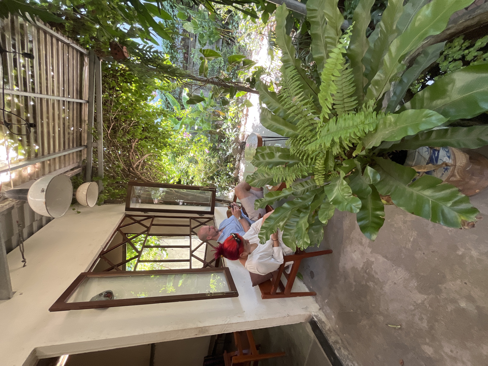 This image captures a shaded outdoor patio area connected to a lush tropical garden in Đà Nẵng, Vietnam. Two individuals are seated on a wooden bench, both engaged with their mobile phones. The female on the left, with bright red hair and sunglasses on her head, wears a white long-sleeved top. The male beside her wears a light blue collared shirt and light-colored shorts.
The patio features a concrete floor and a white exterior wall with multiple wooden-framed windows, some of which are open, revealing the greenery beyond. The upper section of the windows includes a decorative crisscross wooden lattice. An overhead corrugated metal roof, supported by visible metal beams, provides shade. Two white, bell-shaped pendant lights are suspended from the ceiling structure. In the immediate foreground on the right, a large potted plant with broad green leaves and smaller ferns sits in a decorative blue and white pot, partially obscuring a small water feature with floating plants. A small, round table with a dark base and light-colored top is positioned between the seated individuals and the garden. The background is dominated by a dense, vibrant tropical garden filled with various plants, including large-leafed species, vines, and trees, with sunlight filtering through the canopy creating a dappled effect.