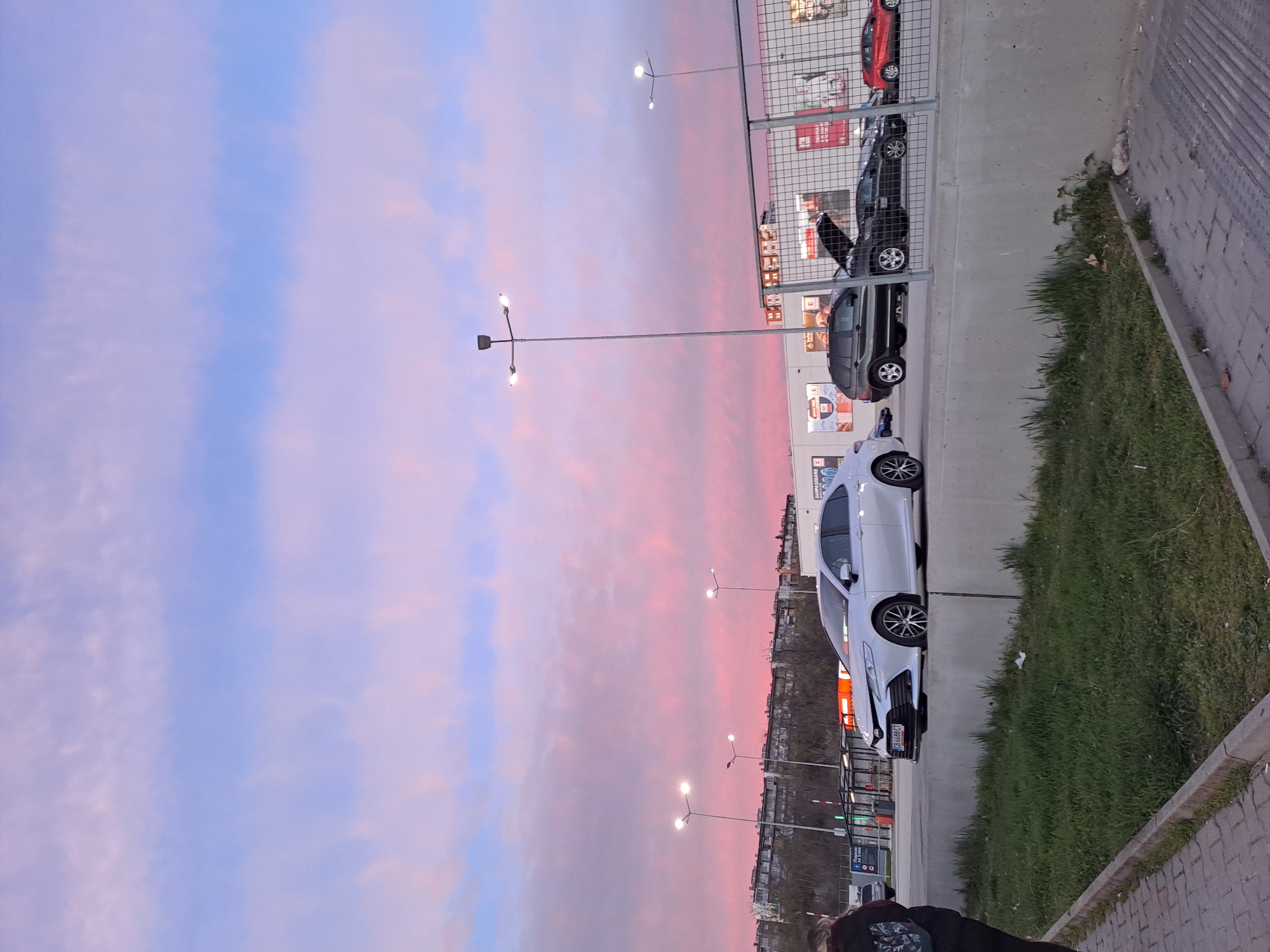 The image depicts an outdoor parking lot scene in Veliko Tarnovo, Bulgaria, at dusk. The sky displays a gradient of pink and blue hues. A row of parked cars lines the lot, including a white sedan in the foreground, followed by several black vehicles, and a red car further back. A chain-link fence separates the parking lot from a building with visible signage and commercial displays. Streetlights are interspersed along the parking area. A narrow strip of grassy area runs along the right edge of the frame, bordered by a concrete curb. The ground is concrete and pavement. A person, partially visible in the lower right corner, is wearing a dark garment.