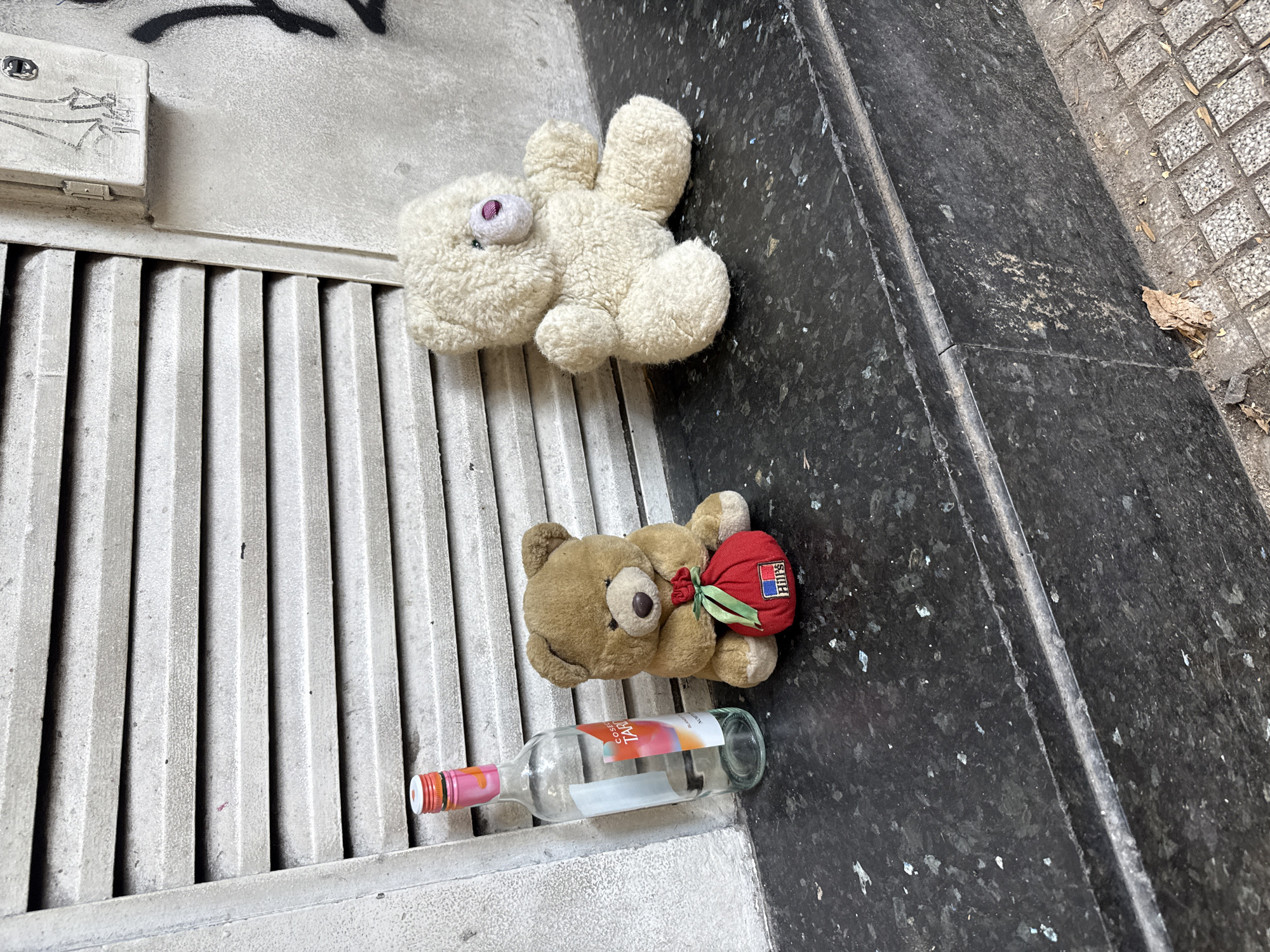The image captures a scene on a Buenos Aires street. A white stuffed rabbit with one purple eye lies on a gray-painted metal grate, likely a ventilation cover or part of street infrastructure. Nearby, on the darker, speckled surface of the curb, rests a brown teddy bear holding a red drawstring bag adorned with the word "BMPS" in a blue rectangle. An empty wine bottle, branded "COSECHA TARDIA", lays adjacent to the bear. The environment appears to be urban, evidenced by the paving stones in the background and a piece of dead leaf. The overall scene suggests discarded items, possibly hinting at themes of abandonment or loss. There is also some graffiti.