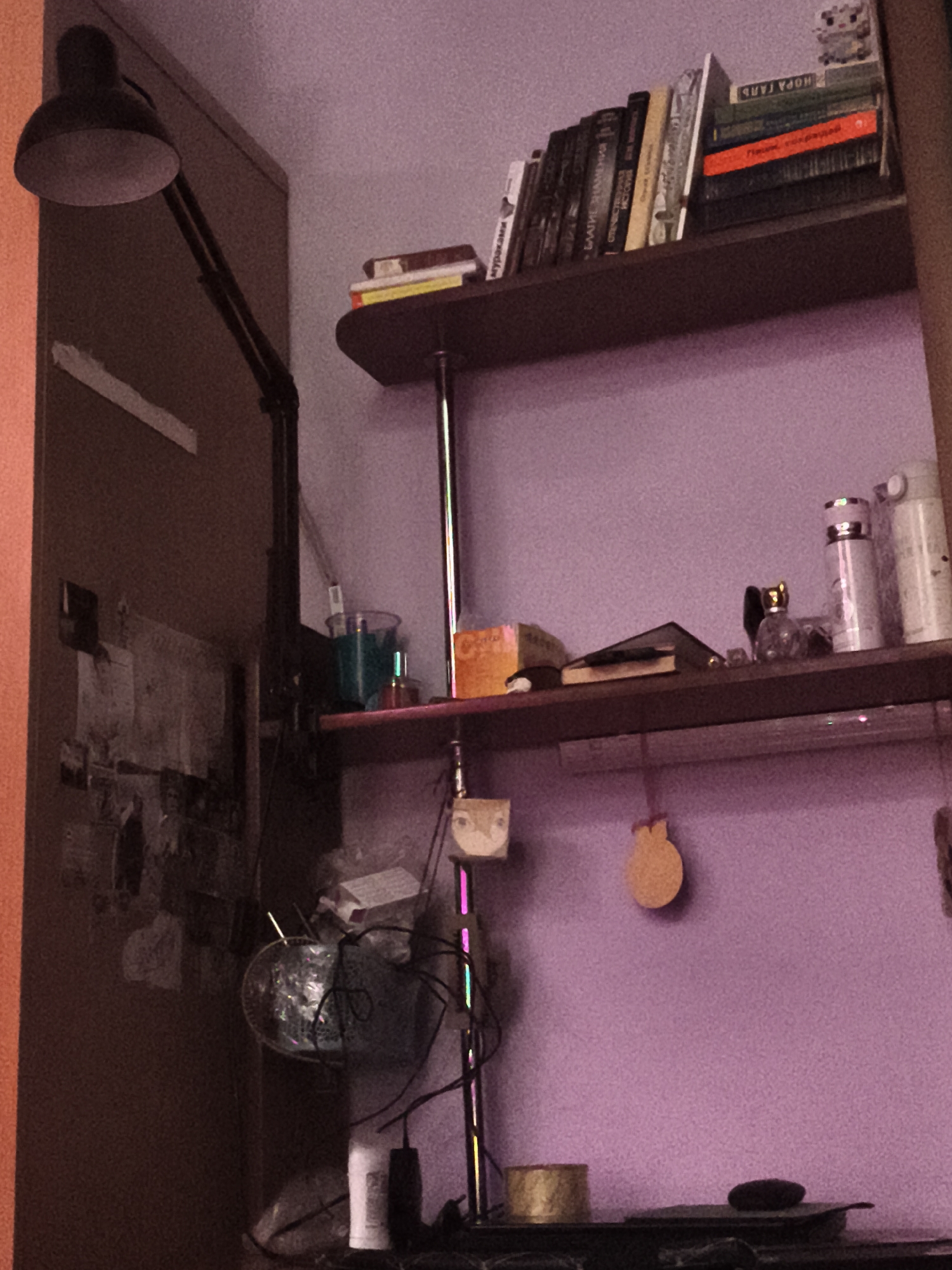 The image depicts a cluttered desk area with a purple wall in the background. On the desk, there are various items including books, a lamp, bottles, and papers. A shelf above the desk holds more books and decorative items. To the left of the desk is a large, dark-colored cabinet. The scene appears to be indoors, likely in a room. There are no people visible in the image, and no specific actions are being performed. The overall impression is one of a lived-in, somewhat disorganized workspace. The location in Ekibastuz, Kazakhstan, is not evident from the visual cues within the image itself.