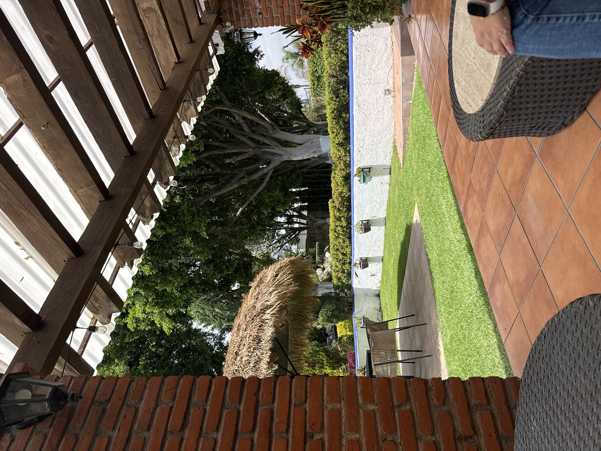 The scene is an outdoor patio area, likely in the city of Puebla, Mexico, based on architectural features. The patio is partially covered by a wooden pergola with light-colored translucent roofing panels. Hanging light bulbs are visible along the edge of the pergola. A brick wall forms part of the structure. A section of the outdoor area reveals a garden with greenery, a tree with a white trunk, and a palapa-style structure. The garden is bounded by a white wall with a blue trim and decorative plants. Artificial turf is laid out between the wall and the patio area. On the patio, there is a section of red tiles and two dark wicker chairs. A person's arm with a wristwatch and part of their jeans is visible, suggesting someone is seated in one of the chairs. The scene is generally well-lit, indicating daytime.