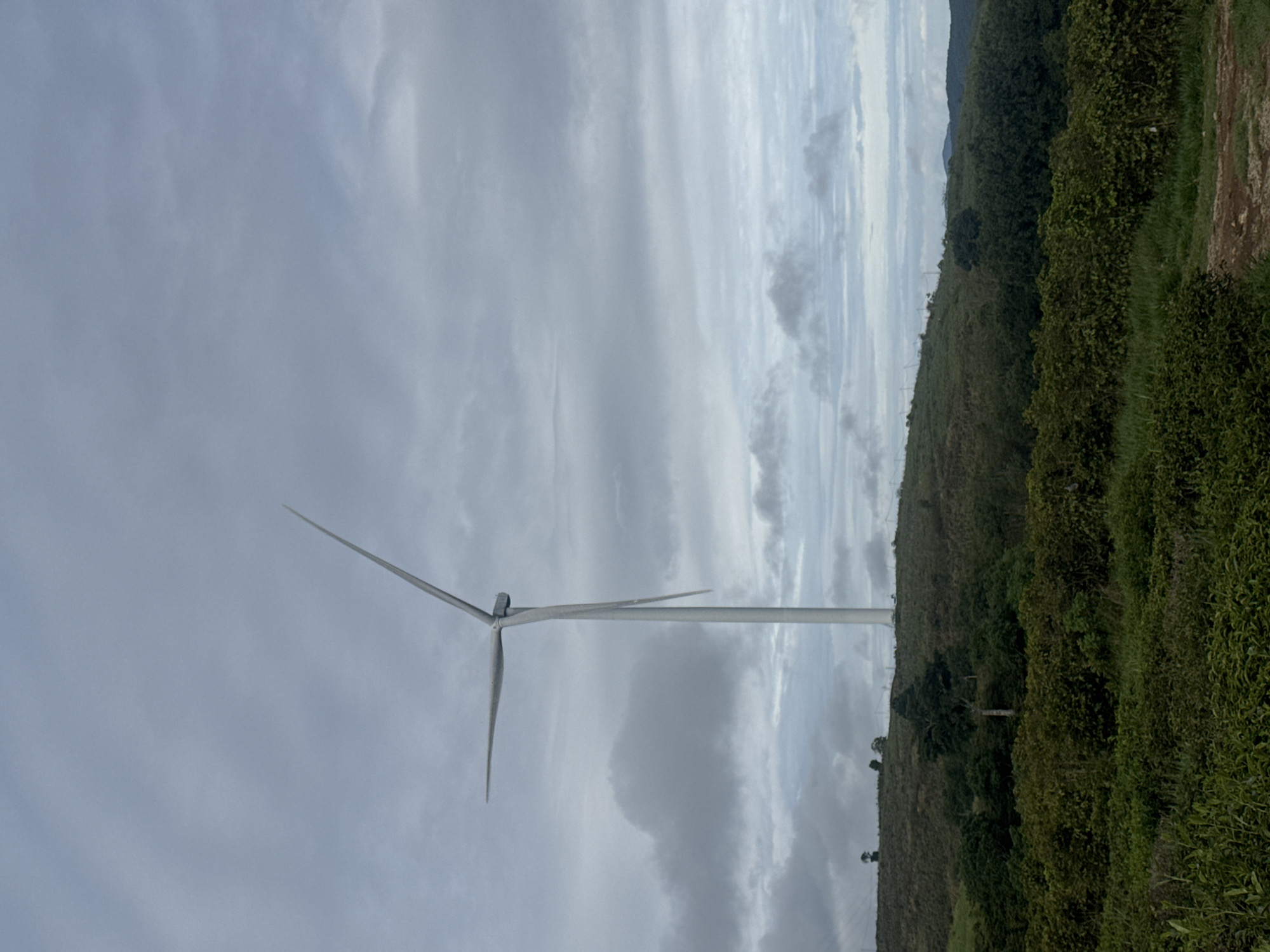 A wind turbine stands in a field of vegetation under a cloudy sky. The turbine's blades are gray. The field is green and extends to a low hill. The image is oriented vertically. The location is Phát Chi, Vietnam.