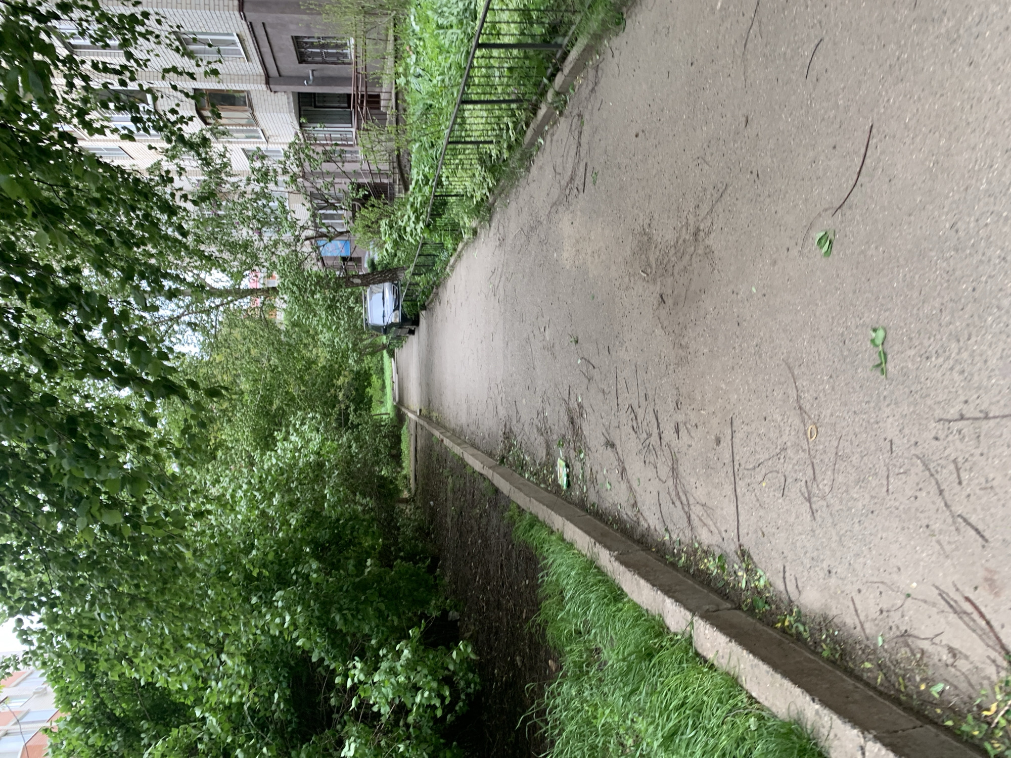 The image shows a concrete walkway in Stavropol, Russia. A curb runs along the right side of the walkway, with grass growing along the curb. Trees and shrubs line the left side of the walkway. A multi-story brick building is visible in the background. A dark-colored vehicle is parked further down the walkway, near the building. Small leaves and debris are scattered on the walkway.