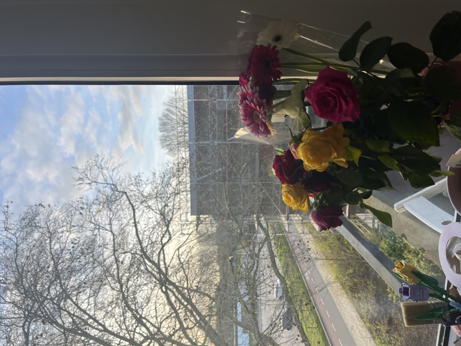 The image displays an interior perspective looking out a window in Maastricht, Netherlands. In the foreground, a bouquet of cut flowers, primarily red and yellow roses, pink gerbera daisies, and white gerbera daisies (some remaining in clear plastic wrapping), rests on the windowsill. To the left of the flowers on the sill, a purple and yellow Lego tulip, multiple paintbrushes, and a partially visible light pink circular object are present. The exterior view reveals a large, bare-branched deciduous tree dominating the left side of the frame. Below the tree, a two-lane asphalt road with a dashed white center line is visible, along with a light-colored vehicle partially captured on the road. Across the road, a multi-story building is prominent, entirely covered in metal scaffolding, indicating ongoing construction or renovation. The background sky is partly cloudy, displaying patches of blue and white cumulus clouds, illuminated by soft, natural light.