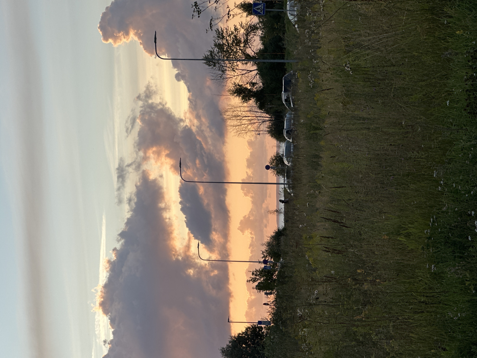 This is a photograph of a sunset over a field and a roadside in Tallinn, Estonia. The sky is filled with dramatic clouds, illuminated by the setting sun with hues of orange and pink. In the foreground, tall grasses and wildflowers create a natural, somewhat wild meadow. Beyond the meadow, there is a road with several cars parked or driving. Streetlights line the road, and some trees and foliage are visible. In the distance, there appears to be a body of water, likely the Baltic Sea, and a sliver of the horizon. There is one person visible walking on the right side of the road. The overall atmosphere is serene and picturesque, capturing the beauty of a summer evening.