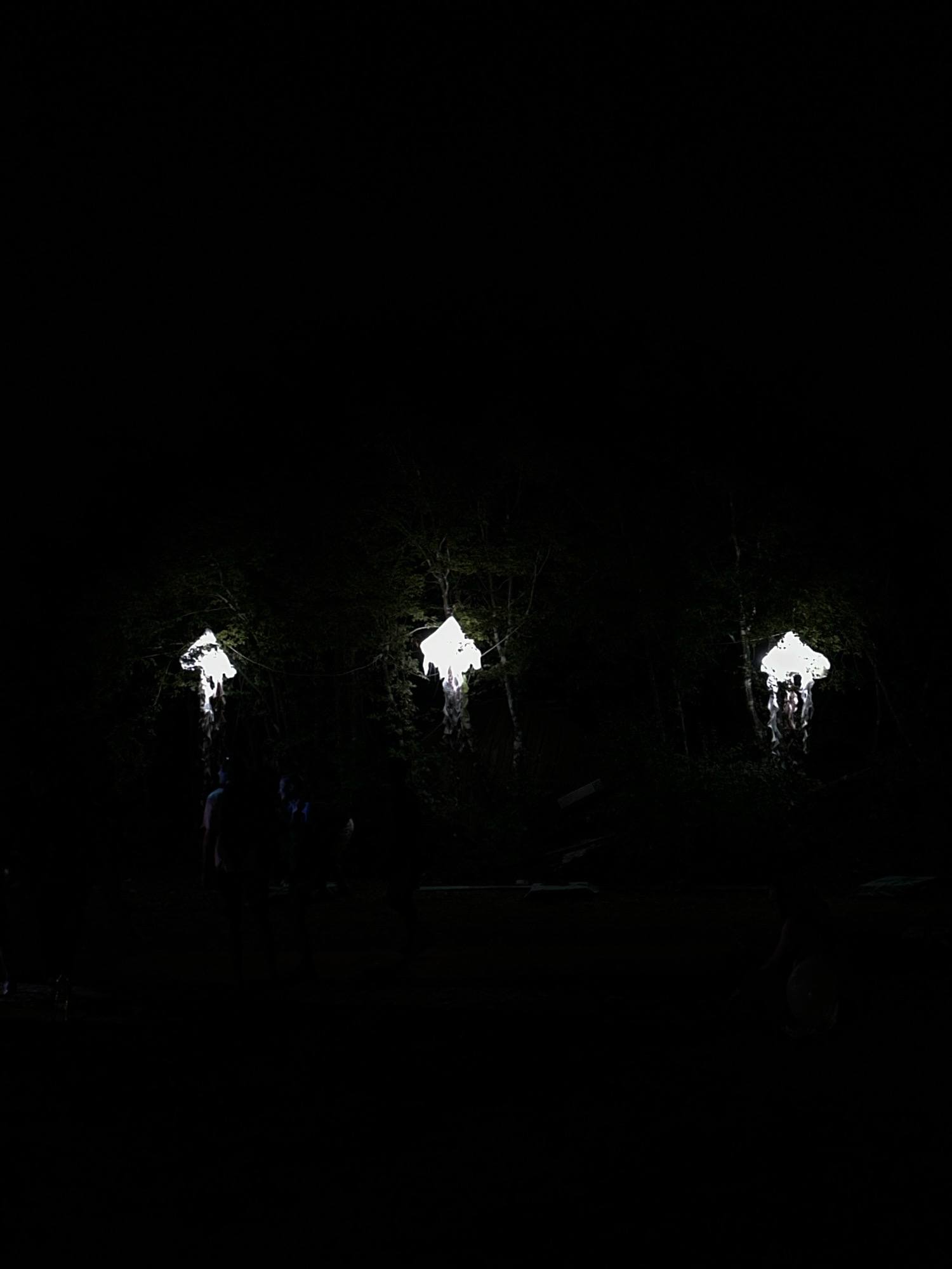 The image depicts an outdoor nighttime scene with three illuminated, abstract white structures resembling jellyfish or ethereal figures suspended amidst dark trees. The structures are lit from within, casting a bright glow against the dark foliage. In the foreground, silhouetted figures of people are visible, suggesting they are observers or participants in an event. The overall atmosphere is mysterious and artistic, possibly indicating an installation or performance art piece. The mention of Cetinje, Montenegro, places the scene within a specific geographical context, though the image itself does not contain explicit visual cues to confirm this location, beyond what is provided as context.