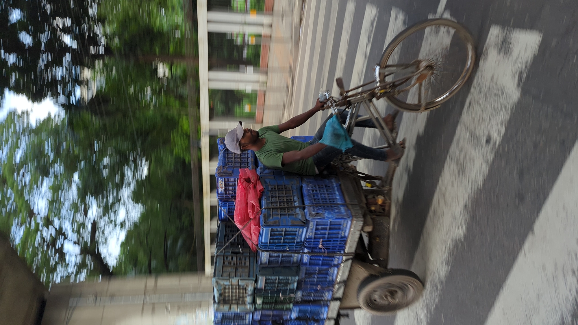 A man is riding a bicycle trailer laden with blue plastic crates in Dhaka, Bangladesh. The man wears a green t-shirt, dark pants, and a grey baseball cap. He is holding a blue cloth in his right hand. The trailer is stacked high with blue crates, some of which are covered with red plastic sheeting. The bicycle is moving on a paved road with white pedestrian crossings. The background shows blurred trees and a concrete structure, suggesting an urban environment. The image is motion blurred, indicating the movement of the bicycle and its rider.