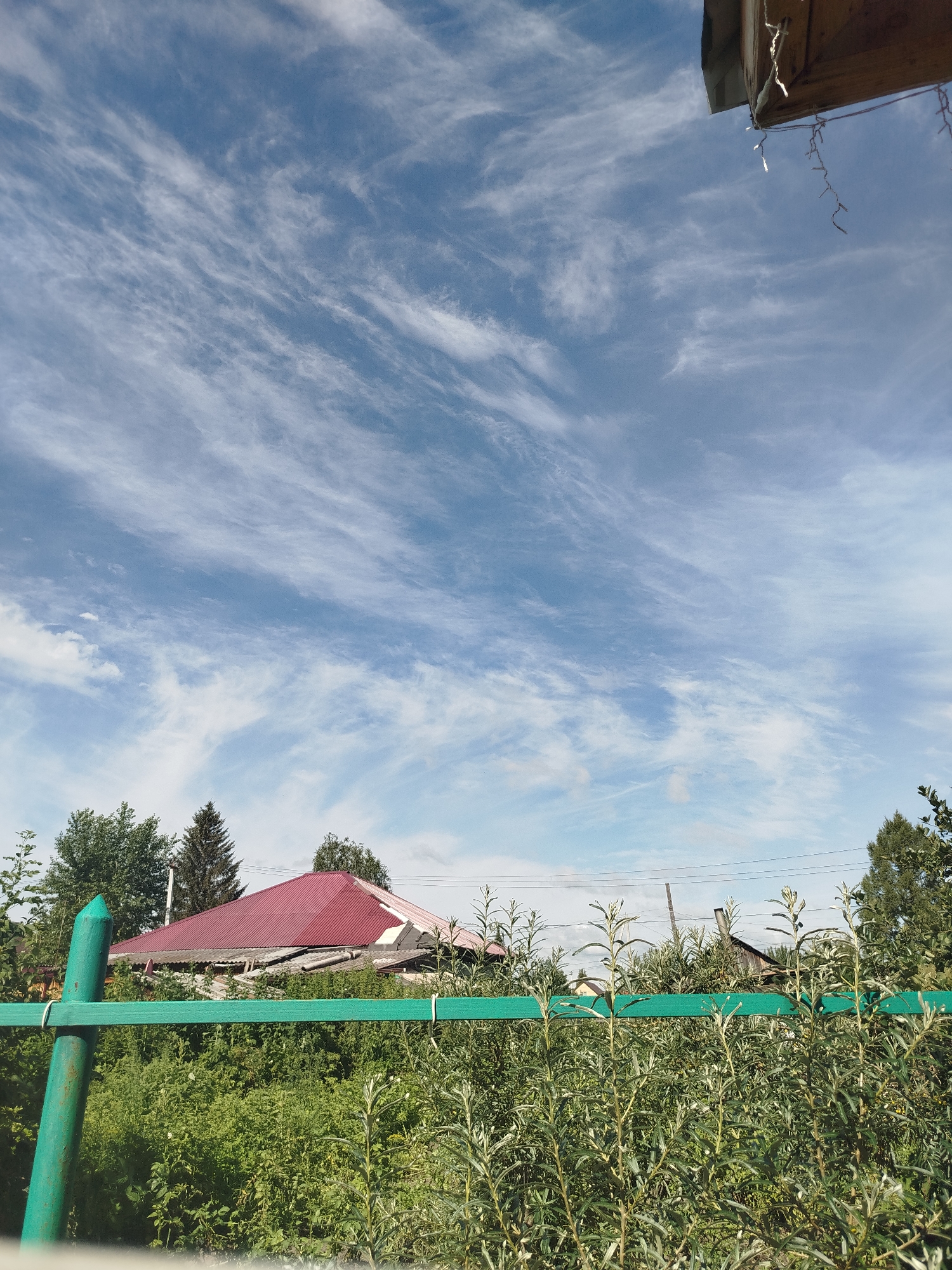 The image depicts a rural scene under a blue sky with wispy, white clouds. In the foreground, a green wooden fence post and a horizontal green fence run across the frame, partially obscuring a dense area of green foliage and plants. Beyond the fence, a building with a red pitched roof is visible, surrounded by more greenery and trees, including evergreens. Power lines are also present above the building. The overall impression is one of a sunny day in a countryside or suburban area, possibly a backyard or garden in Zavodoukovsk, Russia, given the context provided. There are no people or animals visible in the image.