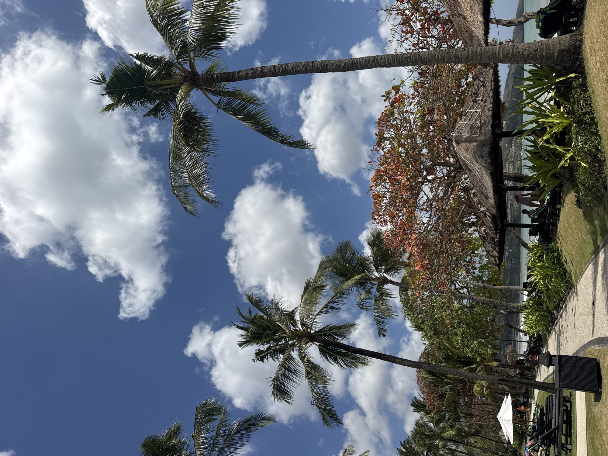 The image depicts a tropical beach resort scene in Kuta Selatan, Indonesia, under a bright blue sky with scattered white clouds. Several palm trees, characteristic of the region, are visible, with their fronds extending towards the sky. In the foreground, a paved pathway curves through a grassy area. Along the pathway, lounge chairs and thatched-roof umbrellas offer shade, suggesting a recreational area. Lush green foliage and a tree with vibrant red-orange leaves add color to the landscape. In the background, a body of water, likely the ocean, is visible, with a distant shoreline featuring hills or mountains. A few people are present, scattered throughout the scene, some relaxing on lounge chairs and others walking along the pathway. The overall atmosphere is one of a peaceful and sunny tropical getaway.