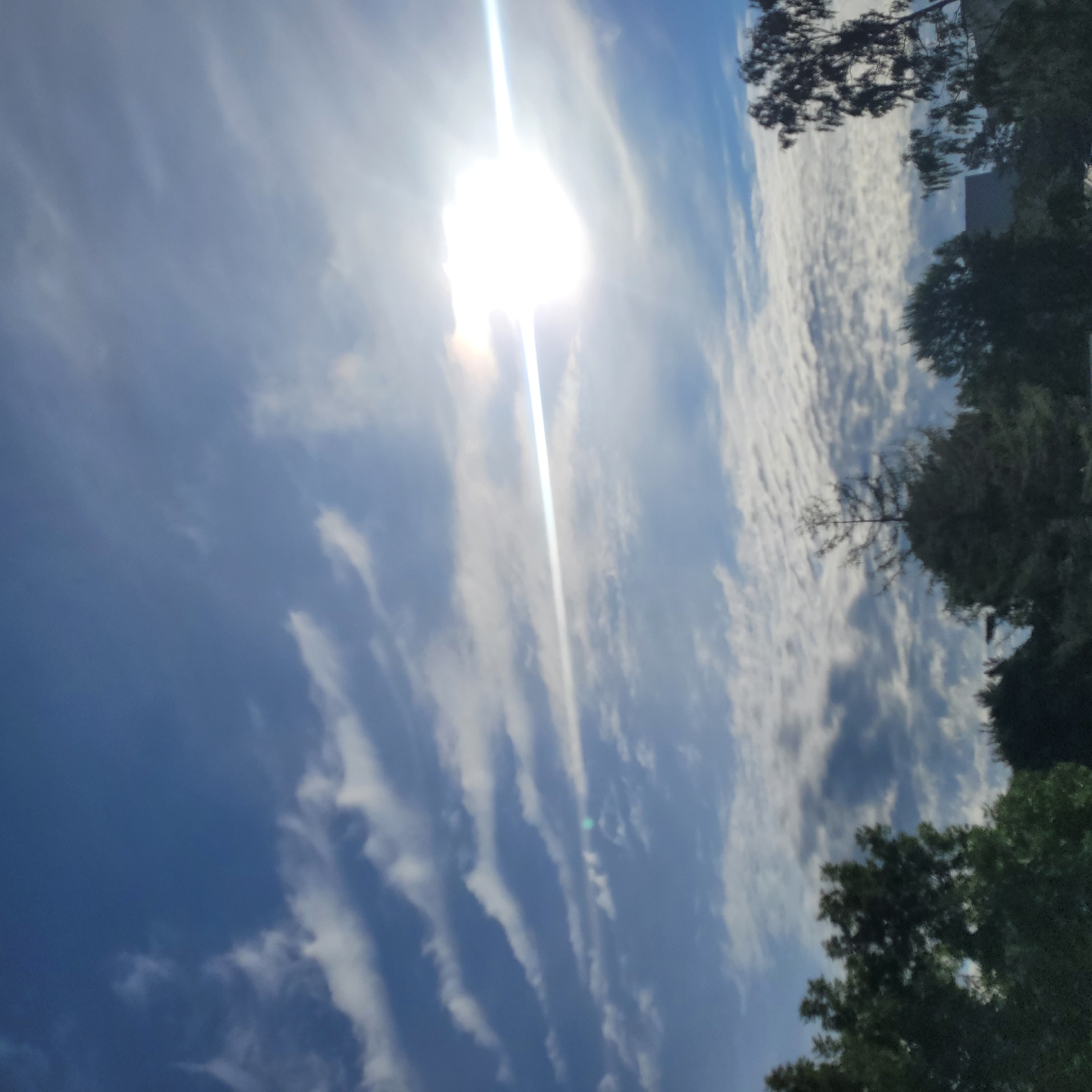 The image depicts a bright, sunny sky over Jūrmala, Latvia, with a prominent sunburst and lens flare streaking diagonally across the frame. wispy white clouds are scattered across the blue sky, creating a textured effect. In the foreground, the tops of dark green trees are visible, some with delicate branches reaching upwards. The overall impression is a clear and vibrant day, possibly late afternoon or early evening given the angle of the sun.