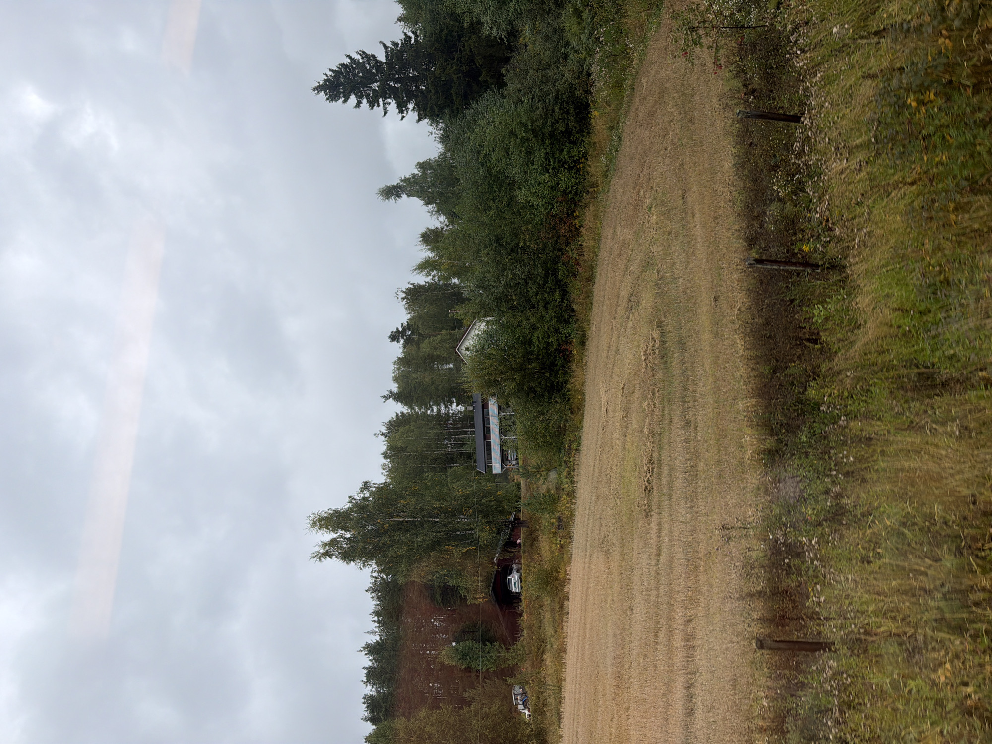 The image shows a rural scene in Sokna, Norway. In the foreground, a field of harvested hay lies dry and golden under an overcast sky. A rustic fence made of weathered wooden posts runs across the field. Behind the field, a dense forest of green trees stands tall, with a few lighter-colored birch trees interspersed. Several buildings are visible within the treeline. To the left, a dark red barn-like structure has two cars parked near its entrance, and a tractor is visible further to the left. To the right of the barn, a two-story building with a white facade and a dark roof has a balcony with railings and some decorative elements. The overall impression is of a quiet, rural setting in the Norwegian countryside during what appears to be late summer or early autumn.