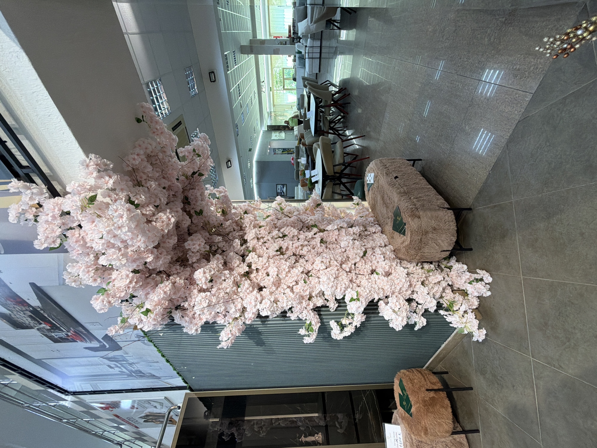 In the city of Trușeni, Moldova, a brightly lit showroom displays furniture. Dominating the foreground is an artificial cherry blossom tree, its pink petals cascading down a corrugated teal wall. Two plush, tan ottomans with black legs sit near the tree, one bearing a green tag. In the background, a spacious area is furnished with various sofas, tables, and chairs, suggesting a retail environment for home decor. The floor is tiled with large, dark grey tiles that reflect the overhead fluorescent lighting. A person, partially obscured, can be seen in the distance amidst the furniture displays.