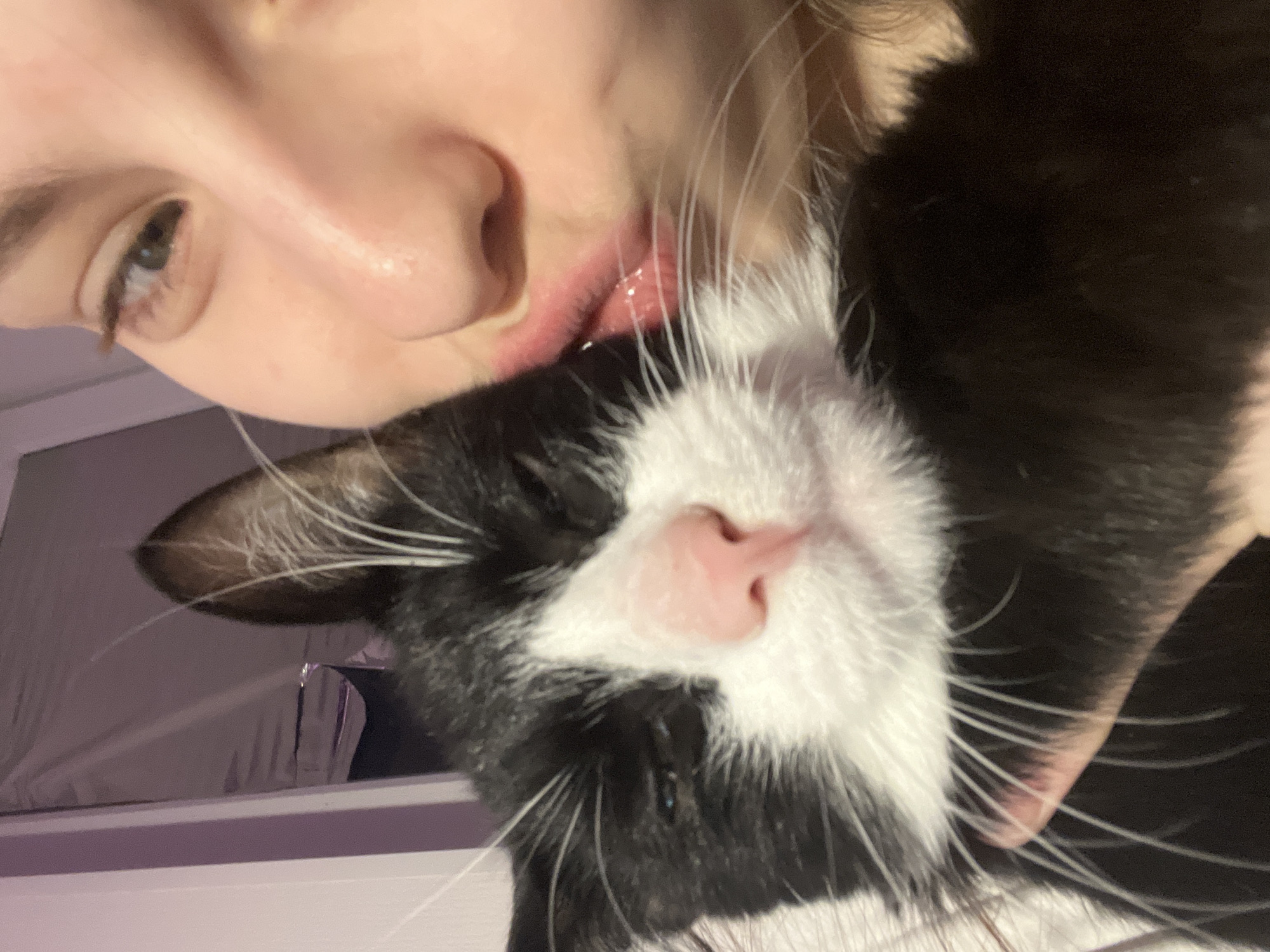 A close-up, tilted perspective shows a person's face nearly touching the face of a black and white cat. The person's eye, nose, and lips are visible, and they appear to be kissing or nuzzling the cat's face. The cat has a pink nose, white fur around its face, and black fur on its head and body. Long white whiskers extend from the cat's face. The background is blurry and out of focus. There is no identifiable location in Saint Petersburg, Russia visible in the image.