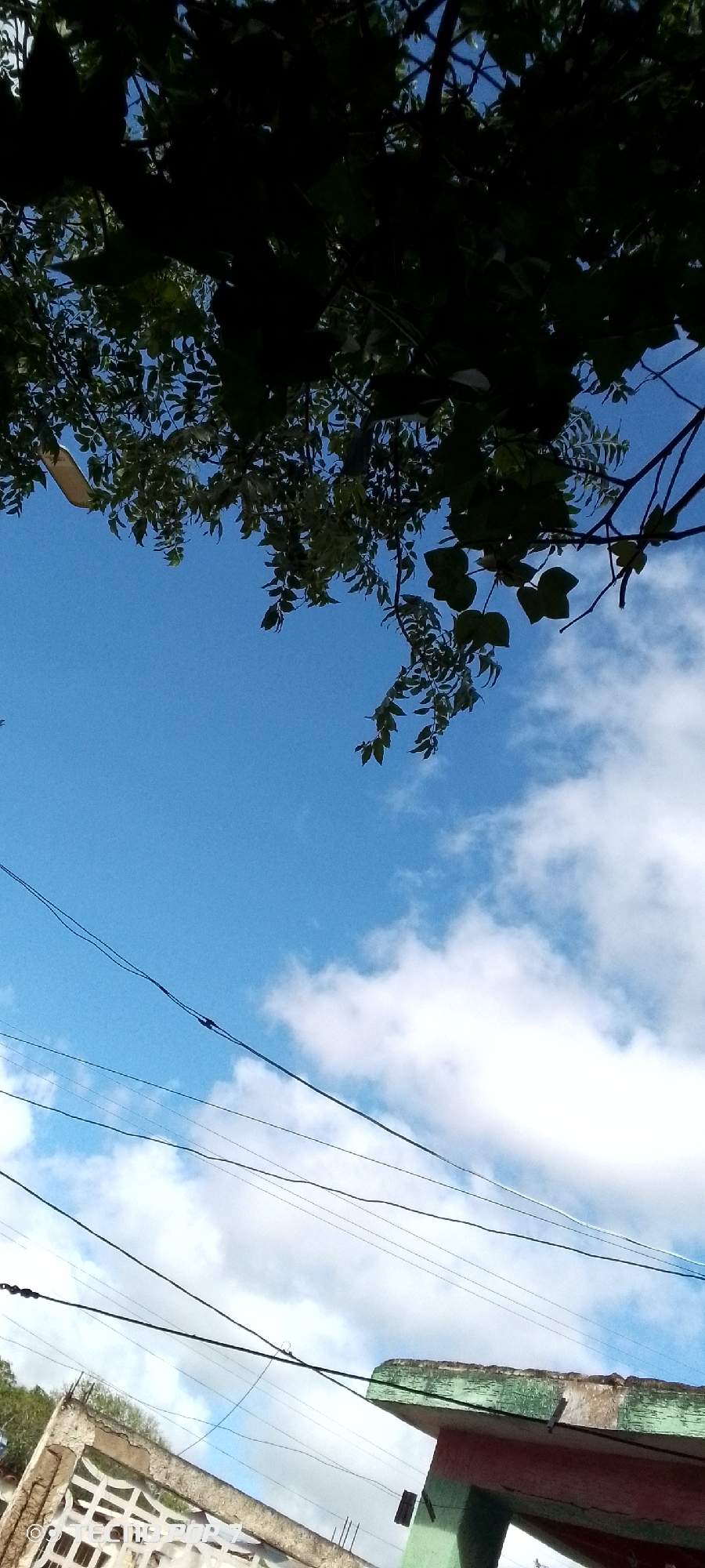 The image depicts a skyward view from Altagracia, Venezuela, featuring a bright blue sky dotted with white clouds. Overhead, the dark silhouettes of tree branches and leaves partially obscure the sky. Several black electrical wires are strung across the frame, crisscrossing the sky at various angles, suggesting an urban or semi-urban setting. In the lower portion of the image, parts of buildings are visible. On the left, a section of a building with white decorative elements and signs of wear is present. To the right, a building with a green-painted upper facade and a reddish-brown lower section is visible, also showing signs of age. The overall impression is a scene of everyday life in Altagracia, capturing the interplay between natural elements like the sky and trees, and man-made infrastructure like electrical wires and buildings.