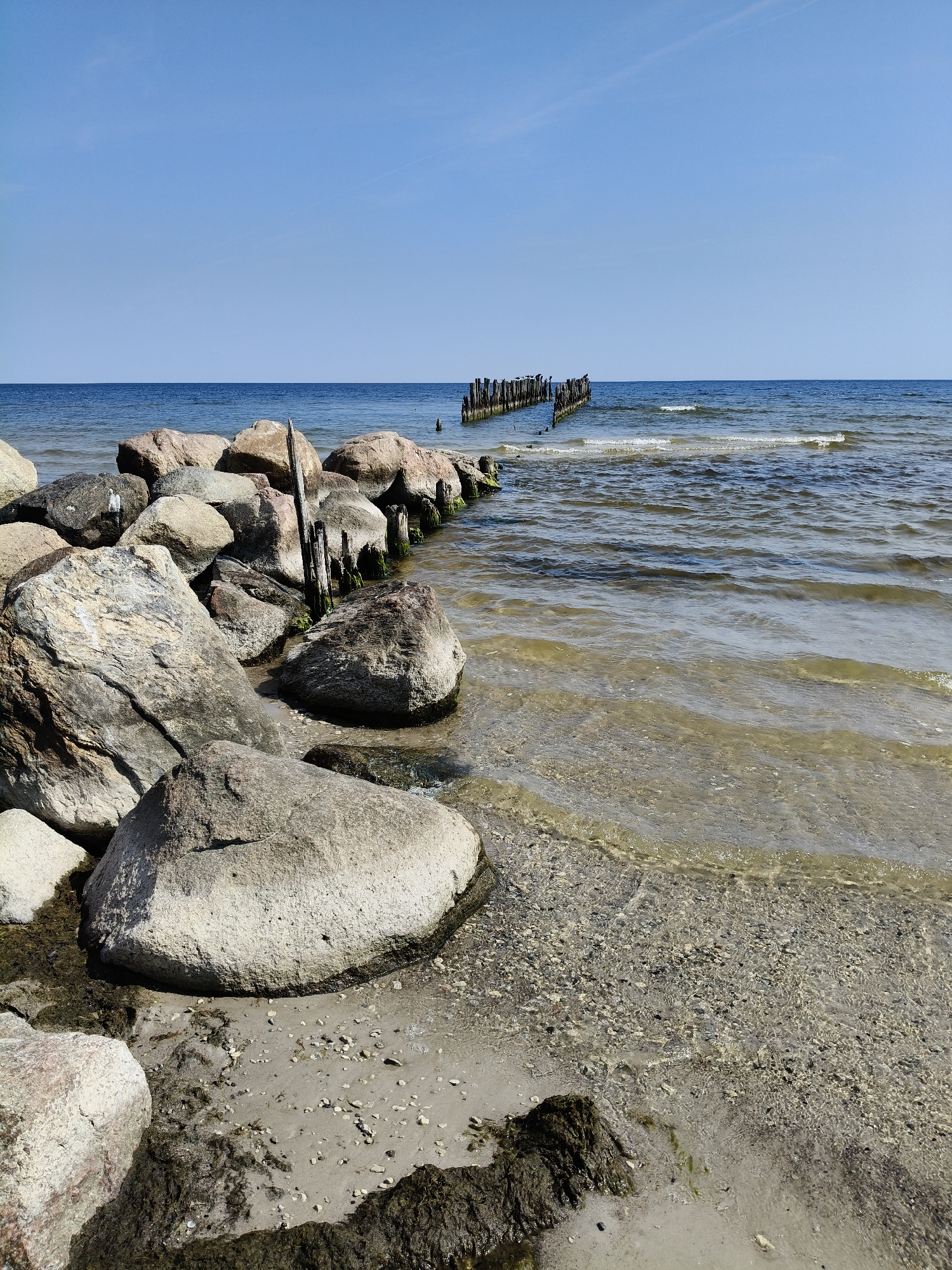 A daytime, eye-level, medium shot captures a serene seascape under a clear blue sky. The foreground is dominated by large, weathered rocks of varying sizes, some partially submerged in the shallow, clear water. A sandy shoreline, littered with small pebbles and dark seaweed, curves from the bottom left towards the right. In the mid-ground, a weathered wooden pier extends into the water, its posts appearing aged and encrusted with marine growth. The water itself is a gentle blue-green, with subtle ripples and small waves lapping at the shore and the pier. The horizon is a clear demarcation between the sea and the sky. The scene appears to be a coastal area, possibly a beach in Bigauņciems, Latvia, given the characteristic shoreline and presence of a pier. No people or animals are visible in the frame.