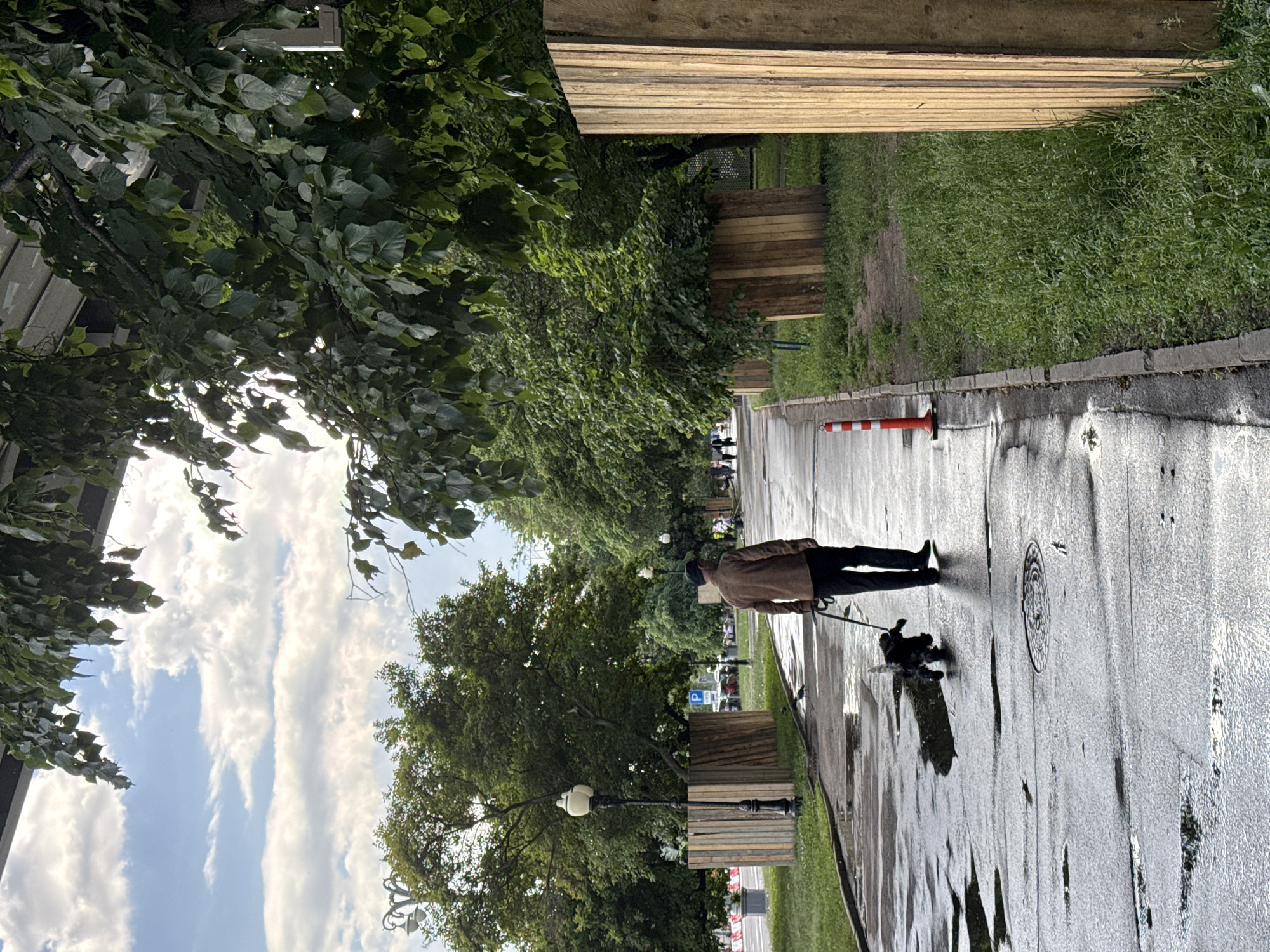 The image displays an outdoor scene along a wet, paved pathway, likely in a park or urban green space, under a cloudy sky. A person, wearing a brown jacket, dark pants, and a hat, is walking a small, dark-colored dog on a leash. The wet path reflects the surroundings, and a circular manhole cover is visible on its surface. Further down the path, an orange and white traffic cone stands next to the curb.
To the right of the path, a grassy area is bordered by long, light-colored wooden fences or barriers, behind which are abundant green trees and bushes. More lush green trees and foliage line the left side of the path, with some leaves overhanging the view. A white streetlight with an ornate base is visible among the trees on the left, and another partial streetlight is further in the background. A blue sign with a white wheelchair symbol (indicating handicapped parking) is partially visible in the mid-ground. The wet ground suggests recent rainfall. The time of day appears to be daytime, with bright, scattered white clouds in the sky.