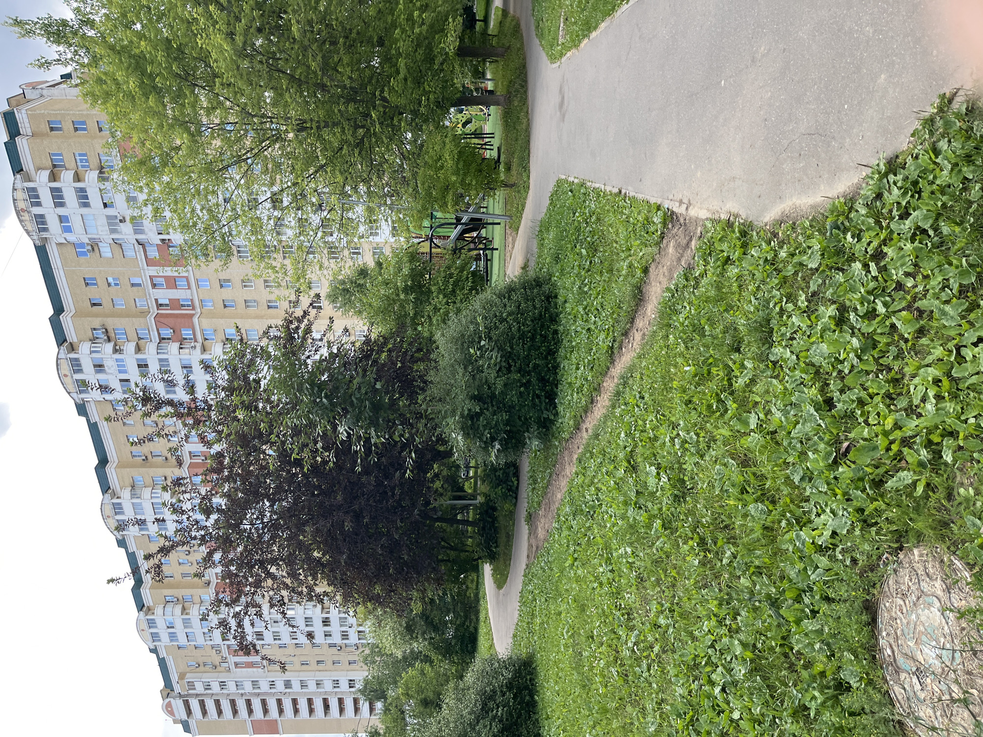 This media file is a landscape orientation photograph taken from a slightly elevated perspective, showcasing a residential area in Moscow, Russia. The primary subjects are a tall, multi-story apartment building with a light yellow facade and numerous windows, and a paved pathway winding through a grassy area.
The scene appears to be outdoors during daytime, with bright, diffused light suggesting it might be a partly cloudy or overcast day. The lush green grass and vibrant leaves on the trees indicate a warm season, likely spring or summer.
The apartment building dominates the left side of the frame, stretching vertically from the bottom to the top. It features balconies and several rows of windows, some with visible air conditioning units. A dark-leaved tree partially obscures the building in the middle ground, adding depth and color contrast.
A grey asphalt pathway curves through the scene, bordered by a strip of bare earth and then by thick, green grass. In the distance, nestled among trees, a children's playground with colorful structures is visible. This hints at the presence of families and community activities within the residential complex.
The overall impression is one of a well-maintained urban residential environment, possibly a courtyard or park area within a housing development. There are no people or specific events clearly depicted, suggesting a moment captured in the daily life of this location. The focus is on the interplay of architecture, nature, and infrastructure. No visible text is present in the image.