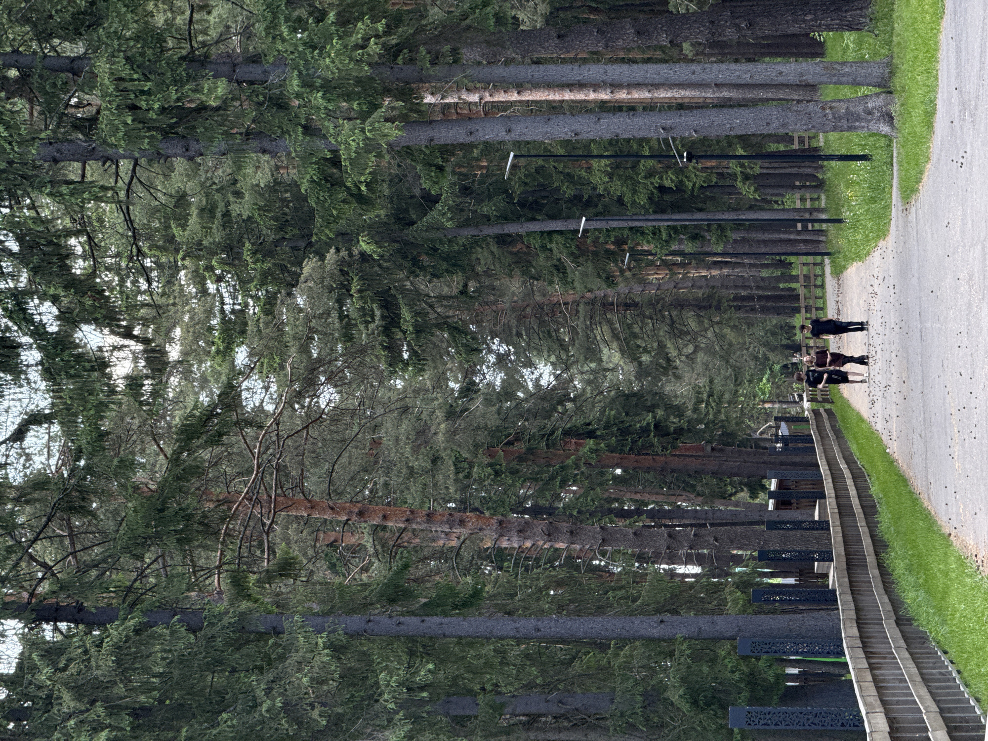 The image shows a path through a wooded area. On the right side of the path is a border, which has alternating concrete and decorative black pillars. People can be seen walking in the distance. The path is bordered by dense trees on both sides. The location in the city of Unknown, Unknown is not determinable from the image.