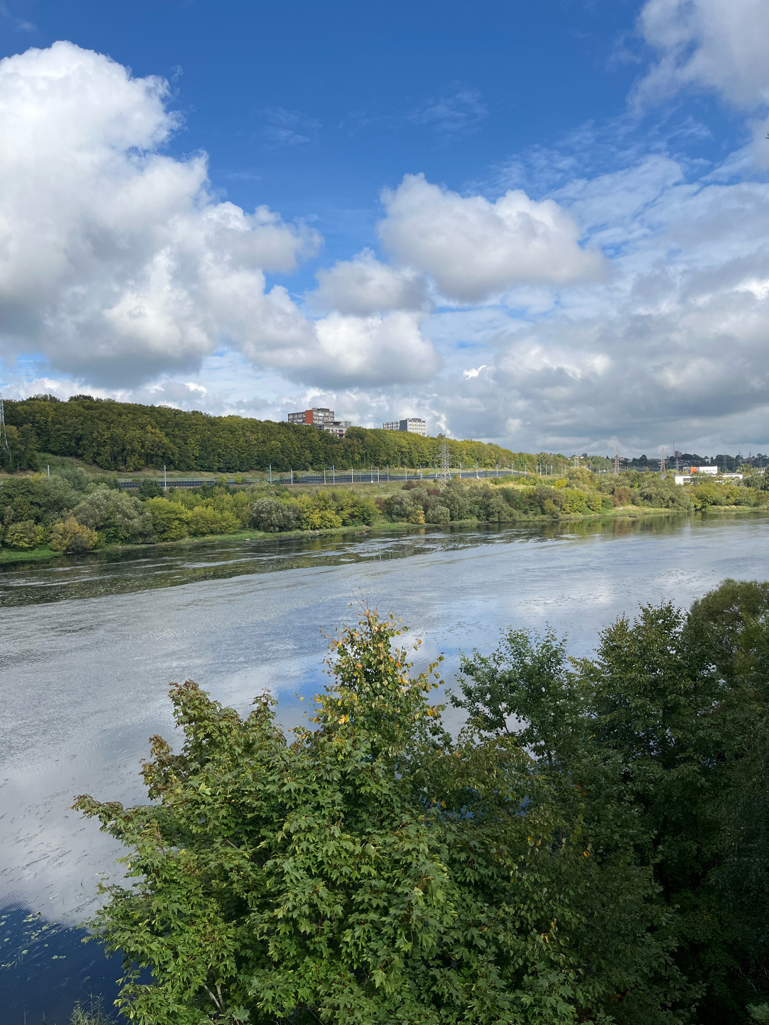 An outdoor, eye-level, vertical shot depicts a wide river with tranquil water flowing from left to right, reflecting the sky and clouds above. The river is bordered by lush green trees and vegetation along its banks, with a train track and power lines visible in the mid-ground. In the background, a hill is covered in dense forest, and on top of the hill, several buildings, including apartment complexes, are situated. The sky is a vibrant blue, adorned with fluffy white clouds. This scene is a depiction of the Neris River near Kaunas, Lithuania.