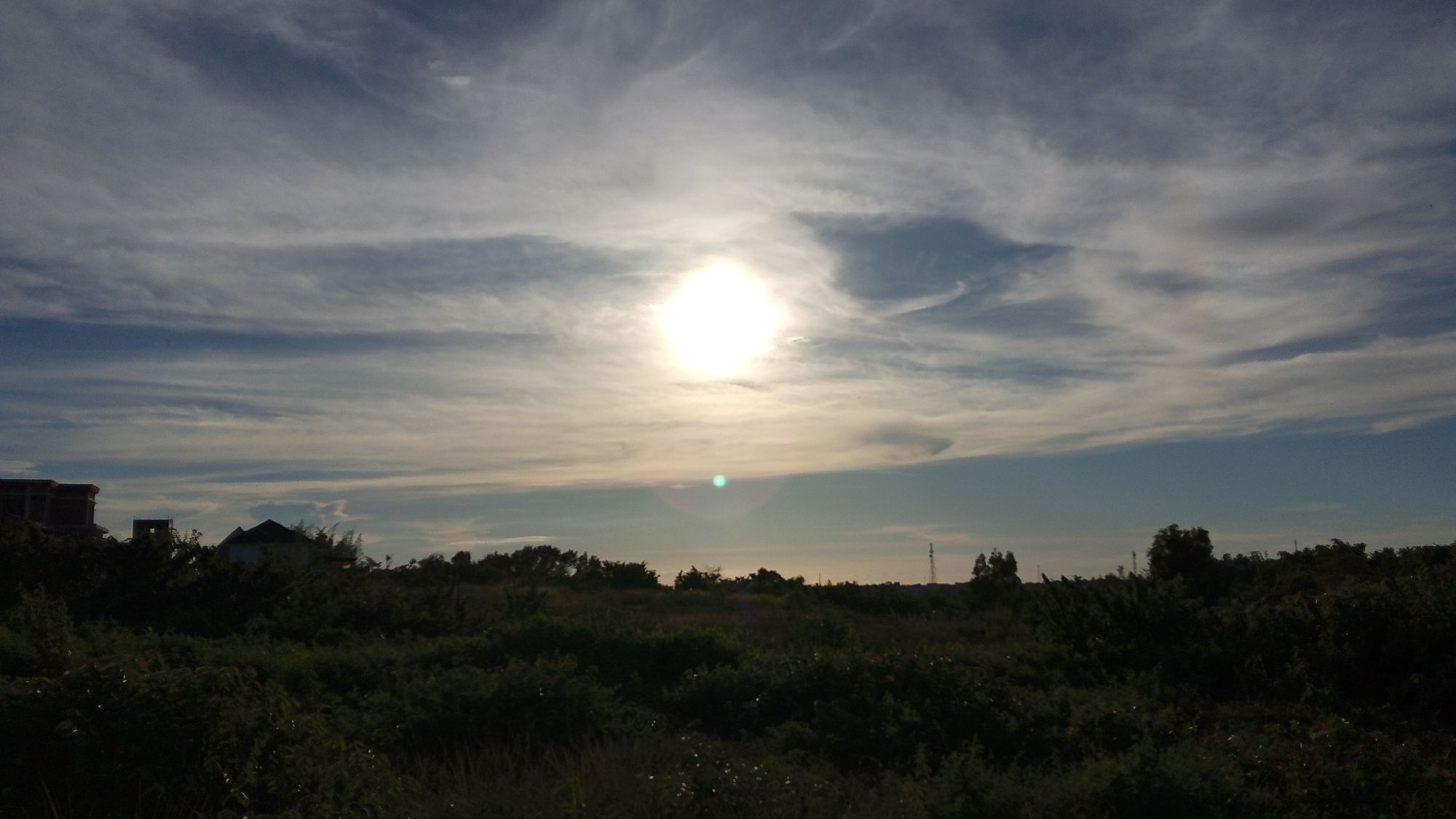 This media file captures an outdoor scene dominated by a bright sun at the center of the frame, surrounded by wispy clouds against a blue sky. The sun appears to be low on the horizon, suggesting either sunrise or sunset. In the foreground, a dense field of green vegetation, including various types of shrubs and grasses, stretches across the lower portion of the image. Several structures, possibly houses or buildings under construction, are visible in the distance, silhouetted against the sky, along with what appears to be a transmission tower on the right side of the frame. The overall impression is one of a rural or semi-rural landscape bathed in the warm light of the sun. There is no visible text in the image. The scene evokes a sense of tranquility and natural beauty.