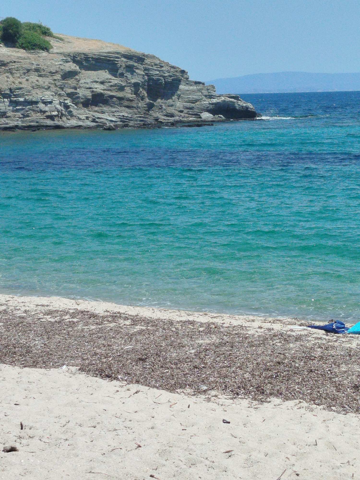 A serene beach scene unfolds under a clear blue sky. The foreground is dominated by a sandy beach, partially covered with a dense layer of dried seaweed. The water transitions from a shallow, clear turquoise to a deeper, richer blue as it recedes towards the horizon. In the middle ground, a rocky cliff face juts out into the sea, its layered strata a testament to natural geological processes. A patch of green vegetation crowns the top of the cliff. In the far distance, a hazy mountain range is visible across the water. On the beach, near the water's edge, a blue beach towel and a navy blue bag are placed, suggesting a moment of relaxation. The scene captures the tranquil beauty of a coastal landscape in Sithonia Municipal Unit, Greece.