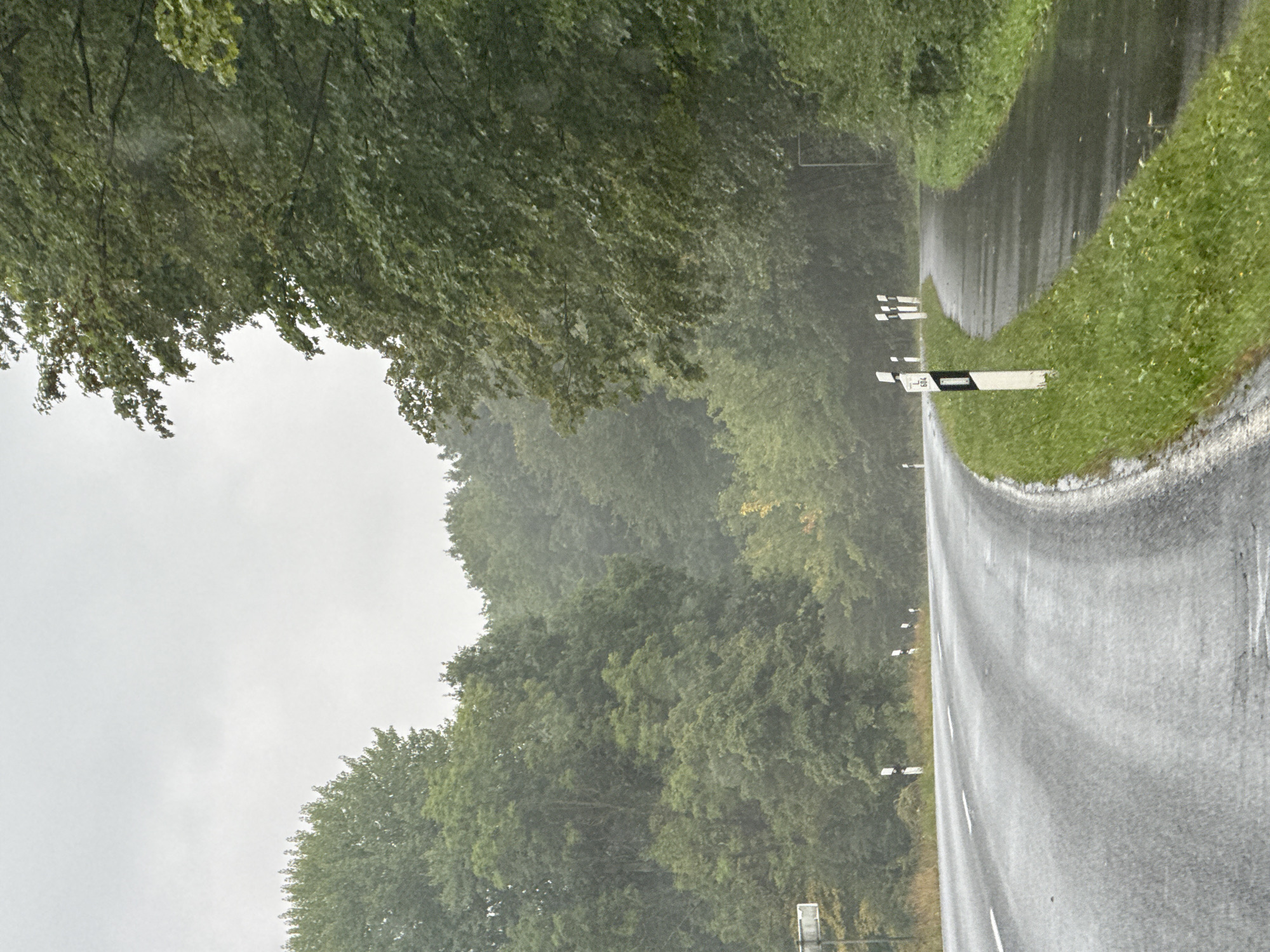 The image depicts a wet, two-lane asphalt road winding through a dense forest in the Harz region of Lower Saxony, Germany. The road is marked with white dashed lines and is slick with rain, reflecting the overcast, grey sky. Along the right side of the road, a narrow, wet paved shoulder or bike path is visible, bordered by a grassy verge. Black and white striped road markers, some with numbers, are spaced along the edge of the road. The surrounding environment is dominated by lush green trees, their leaves appearing dark and wet from the rain. The atmosphere is damp and gloomy, suggesting a rainy or overcast day. No people or vehicles are present in the scene. The image appears to be taken from a moving vehicle, looking ahead and slightly to the right.
